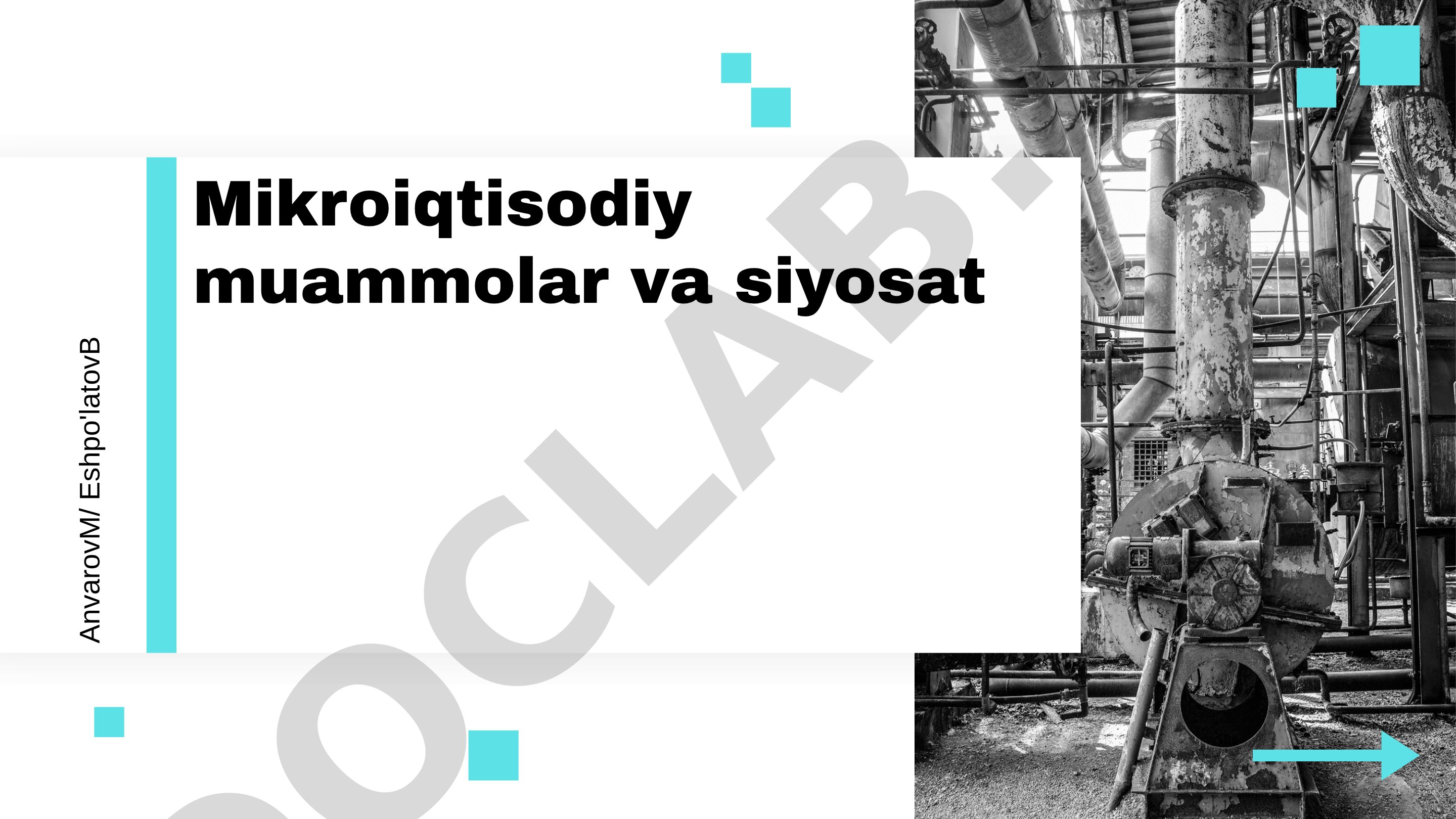 Mikroiqtisodiy muammolar va siyosat