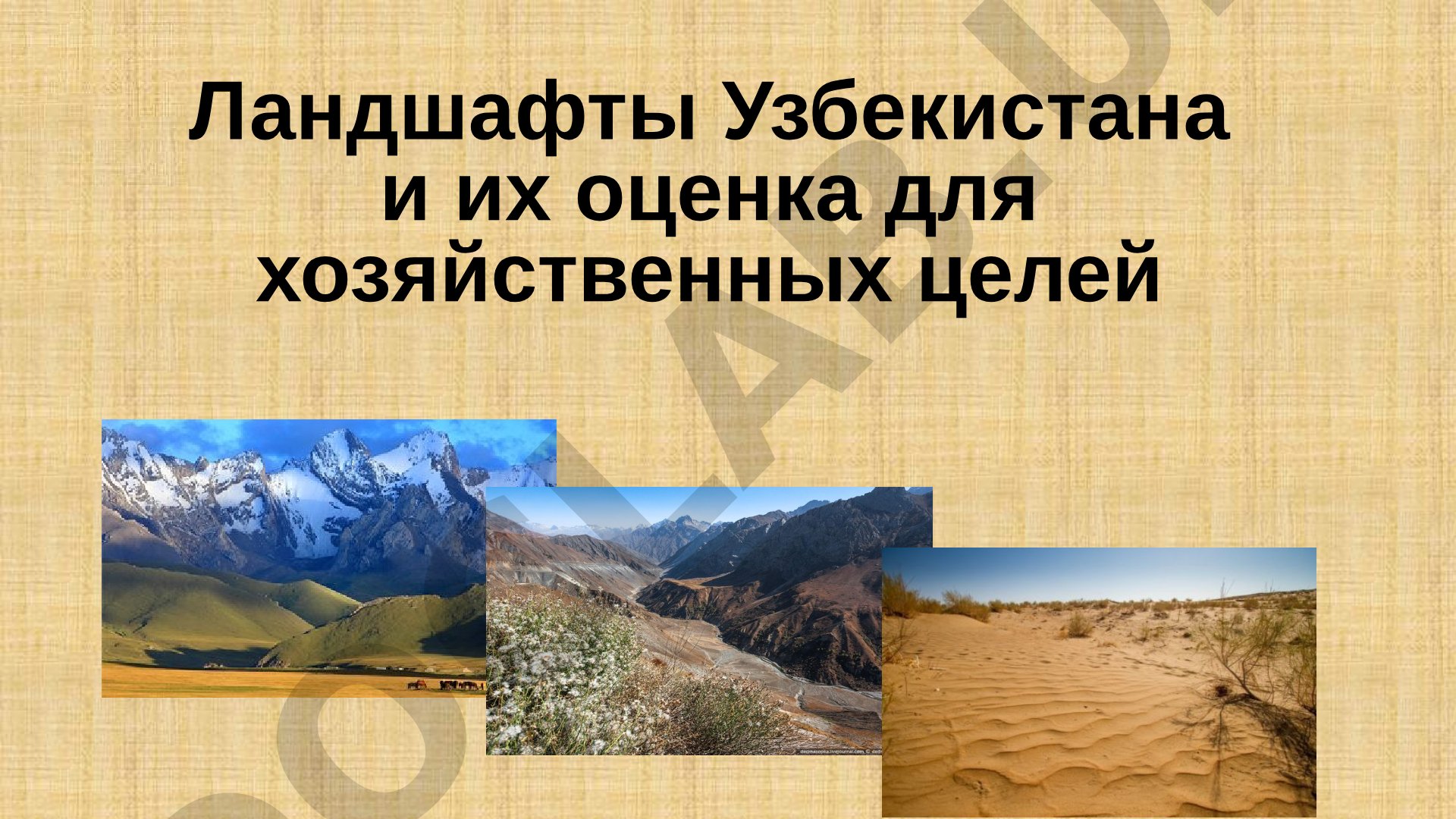 Ландшафты Узбекистана и их оценка для хозяйственных целей