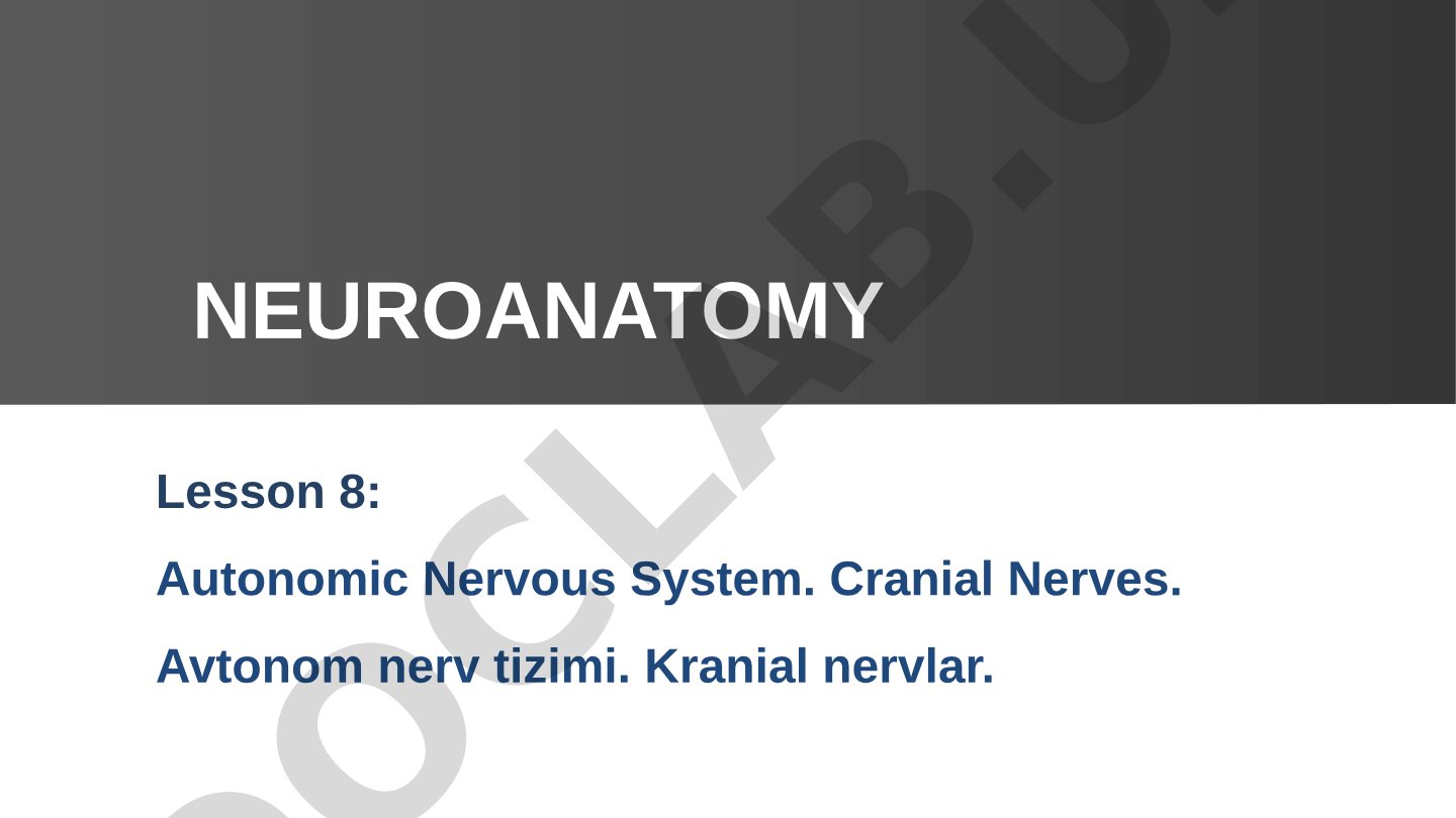 Autonomic Nervous System. Cranial Nerves.