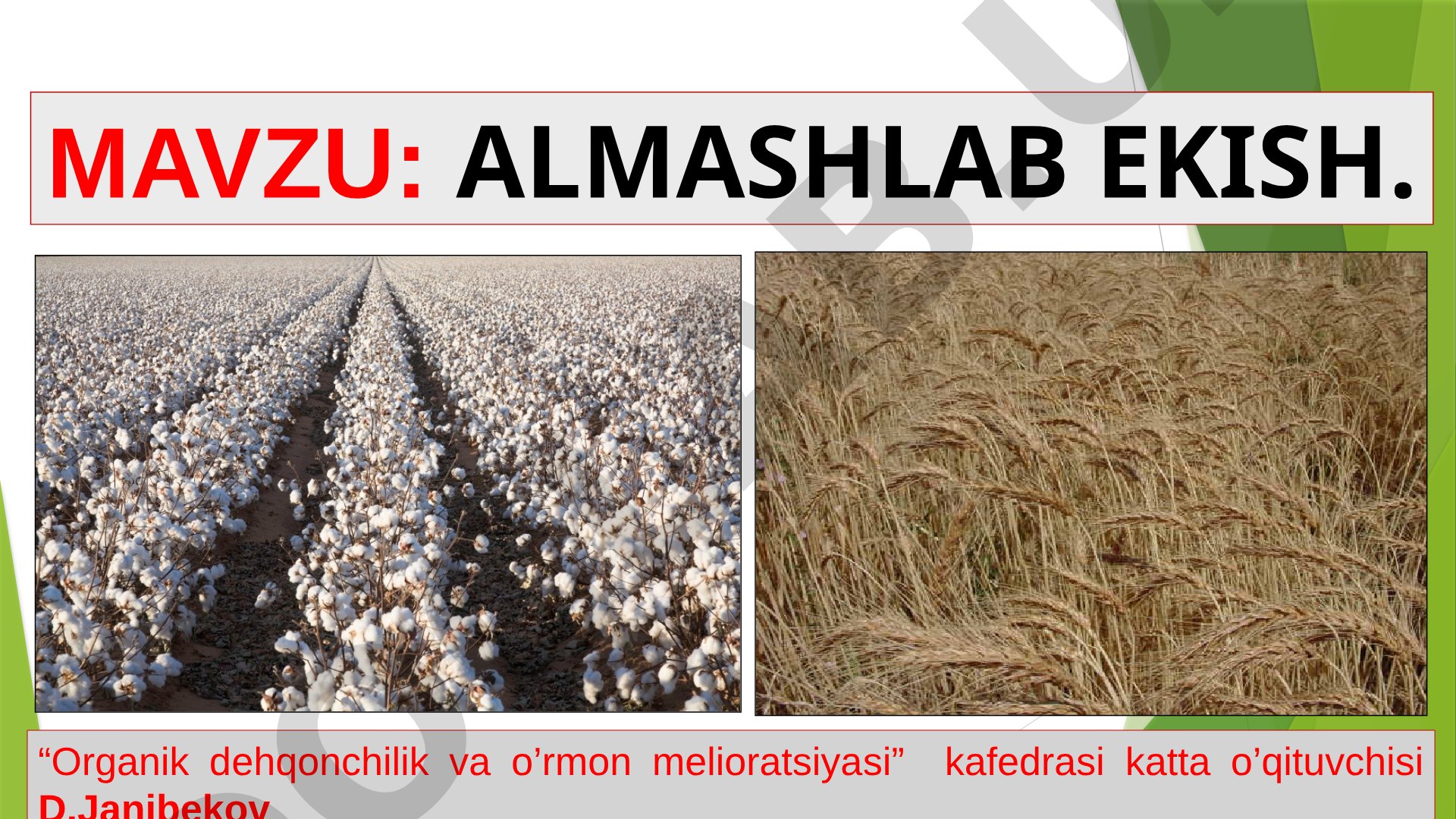 ALMASHLAB EKISH