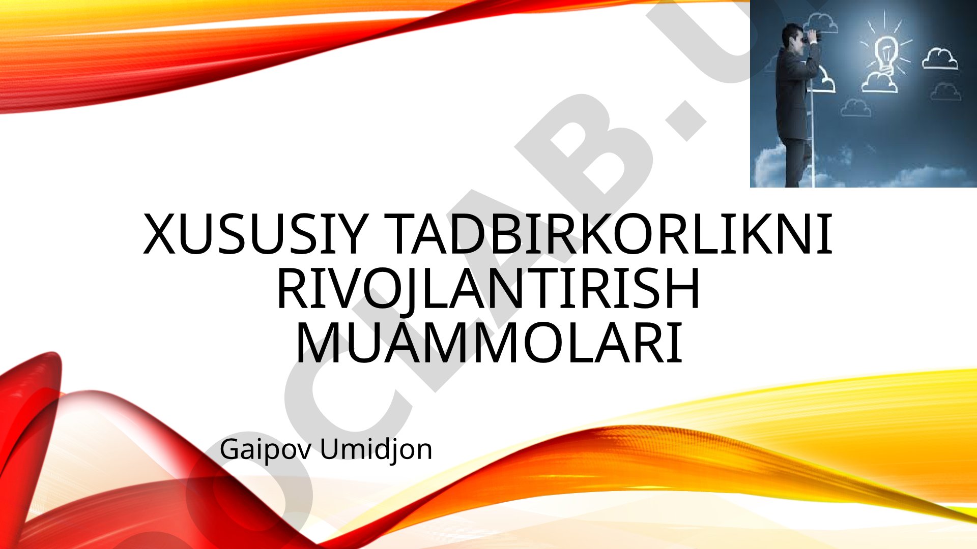 Xususiy tadbirkorlikni rivojlantirish muammolari