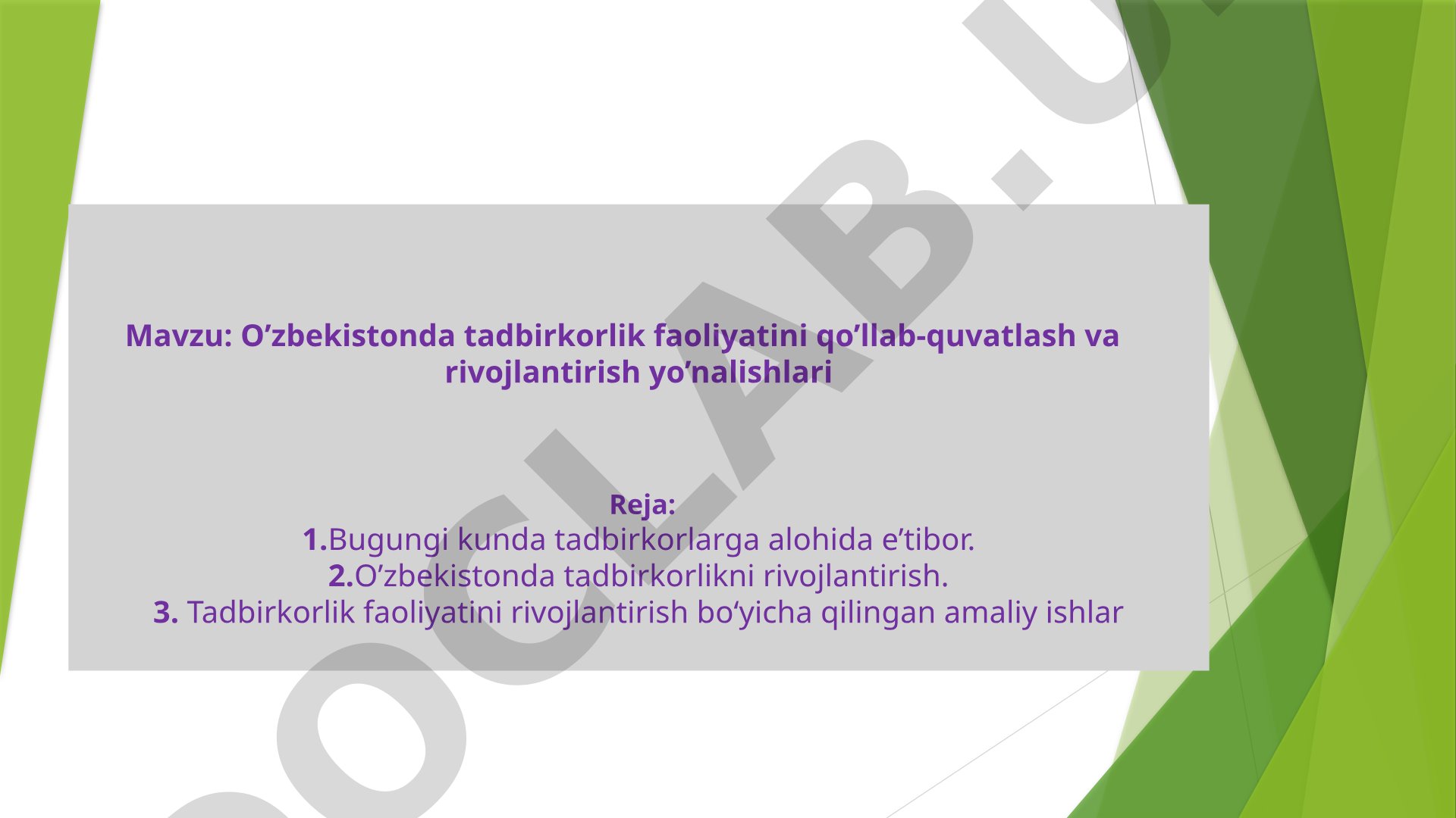 O’zbekistonda tadbirkorlik faoliyatini qo’llab-quvatlash va rivojlantirish yo’nalishlari