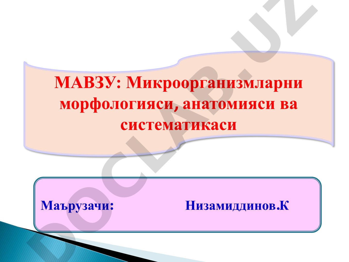 Микроорганизмларни морфологияси, анатомияси ва систематикаси