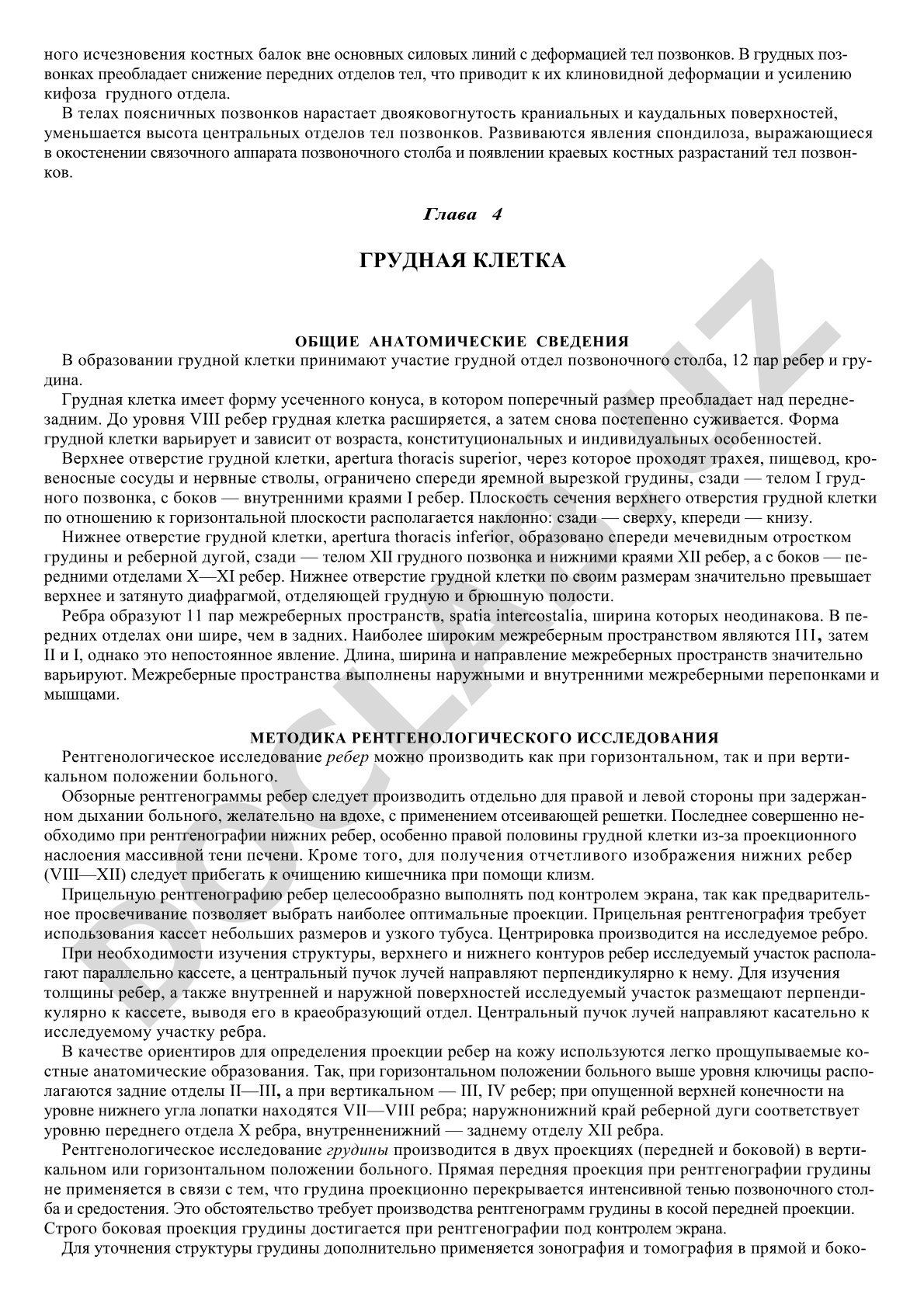 Верхняя апертура грудной клетки