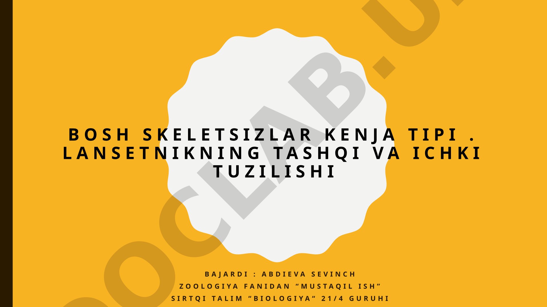 Bosh skeletsizlar kenja tipi va lansetnik tuzilishi