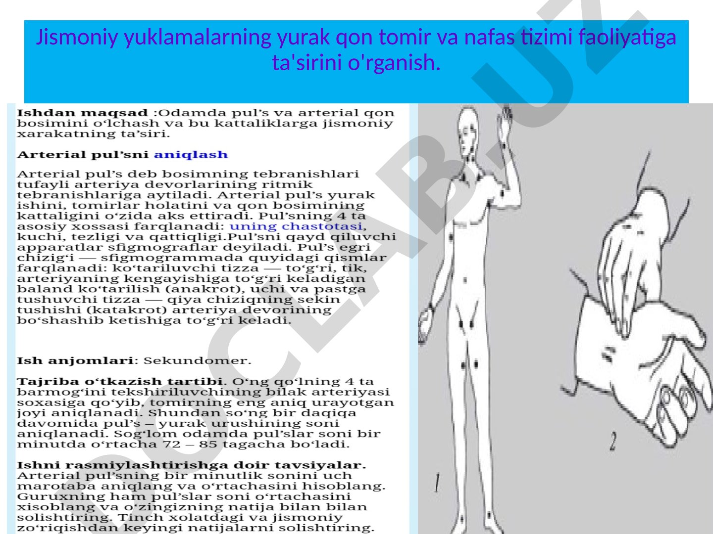 Jismoniy yuklamalarning yurak qon tomir va nafas tizimi faoliyatiga ta'sirini o'rganish