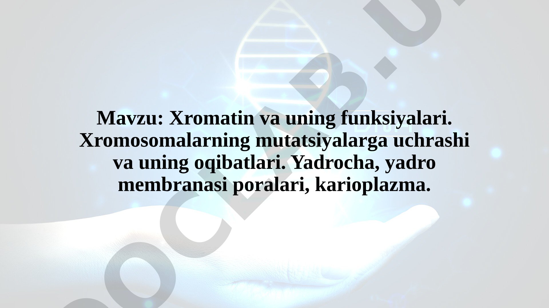 Xromatin va uning funksiyalari. Xromosomalarning mutatsiyalarga uchrashi va uning oqibatlari. Yadrocha, yadro membranasi poralari, karioplazma.