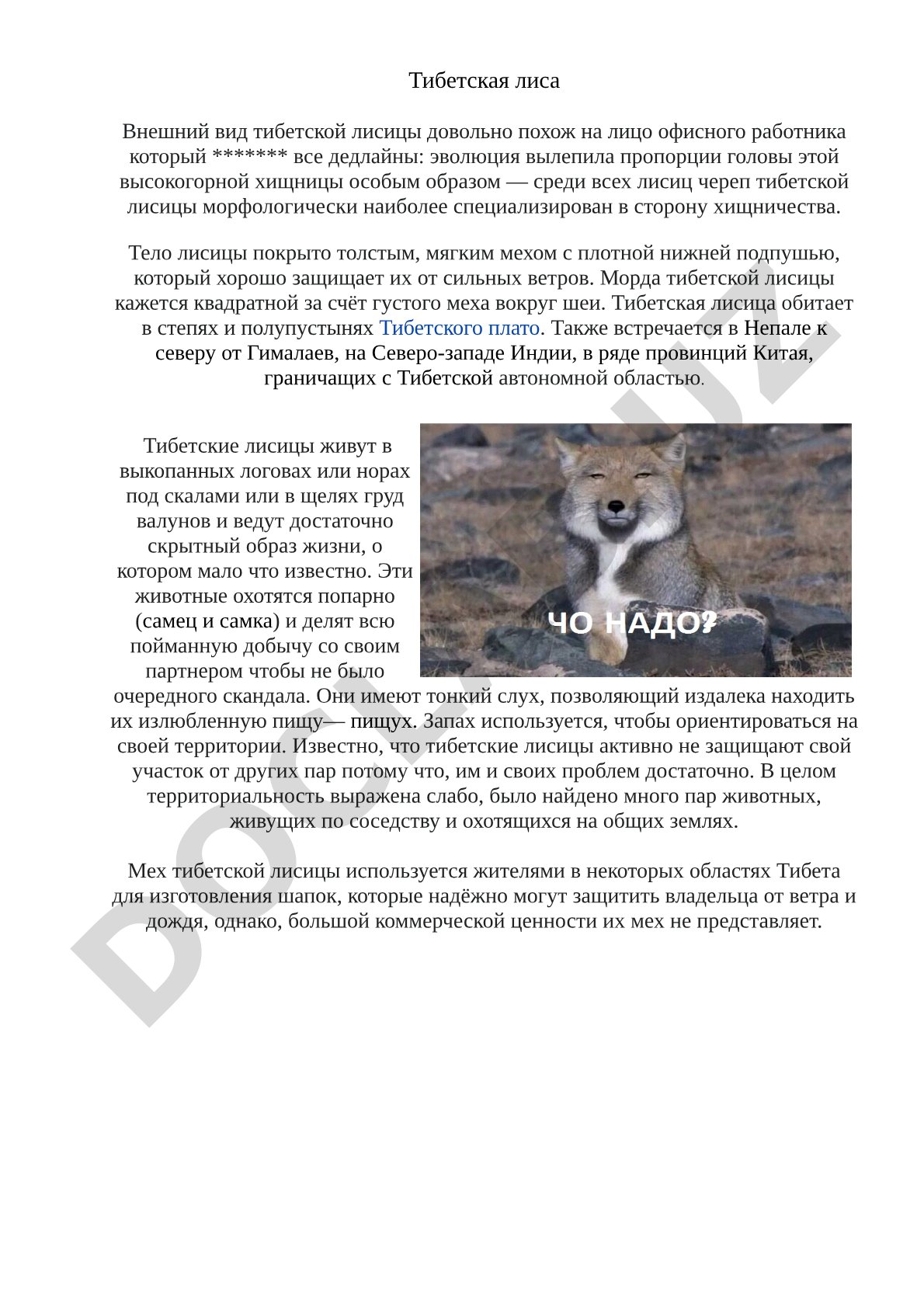 Описание внешнего вида, мест обитания и образа жизни тибетской лисицы