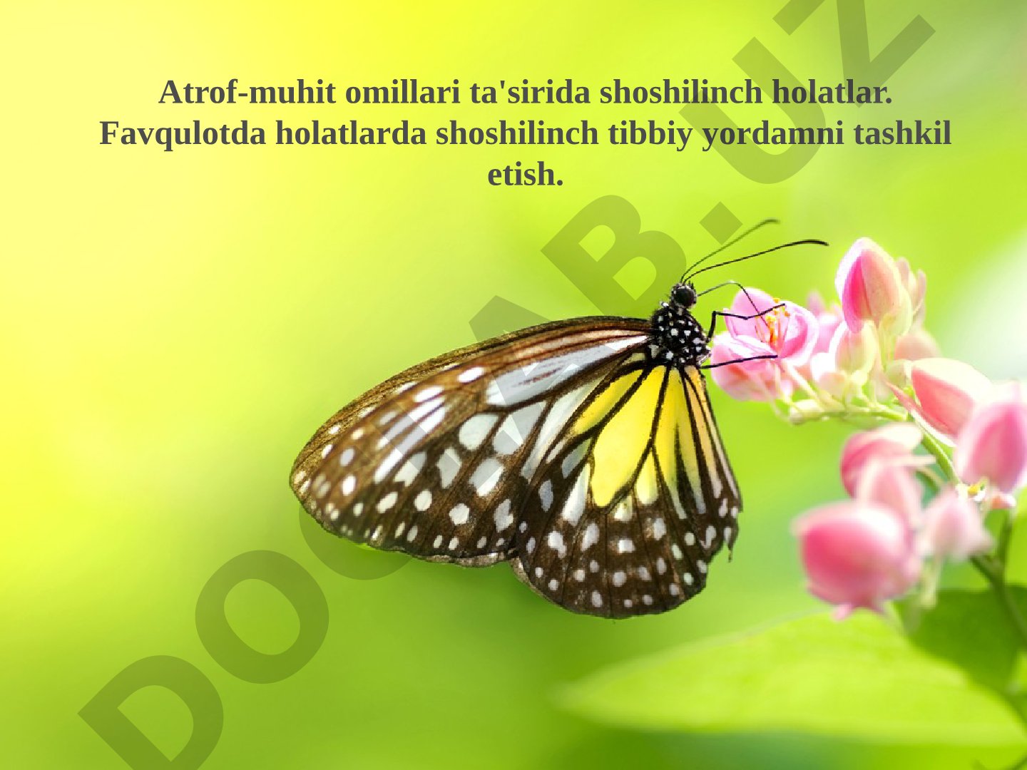 Atrof-muhit omillari ta'sirida shoshilinch holatlar
