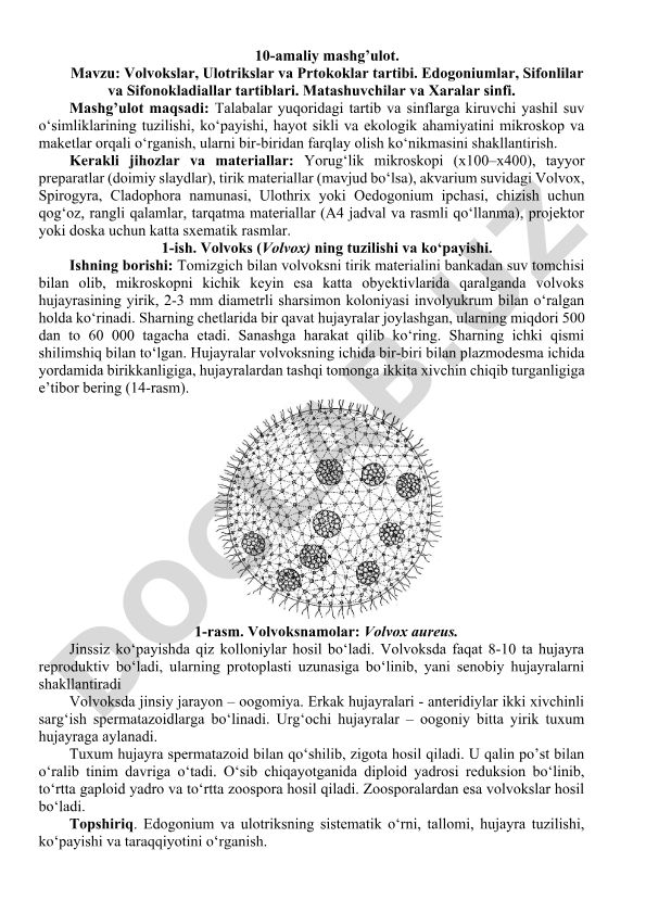 Volvokslar, Ulotrikslar va Prtokoklar tartibi. Edogoniumlar, Sifonlilar va Sifonokladiallar tartiblari. Matashuvchilar va Xaralar sinfi