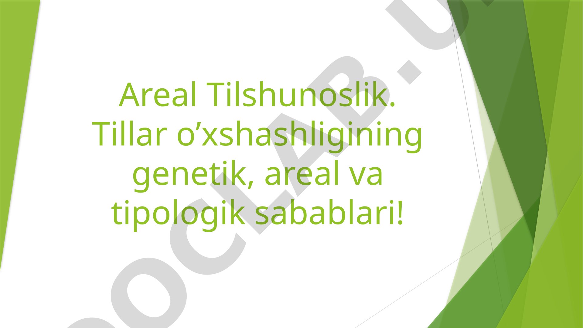 Areal Tilshunoslik. Tillar o’xshashligining genetik, areal va tipologik sabablari