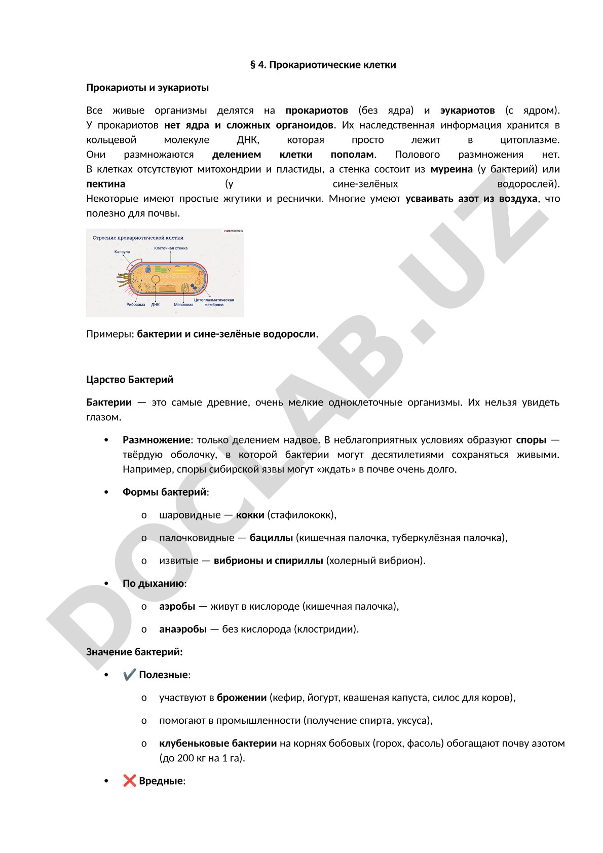Прокариотические клетки