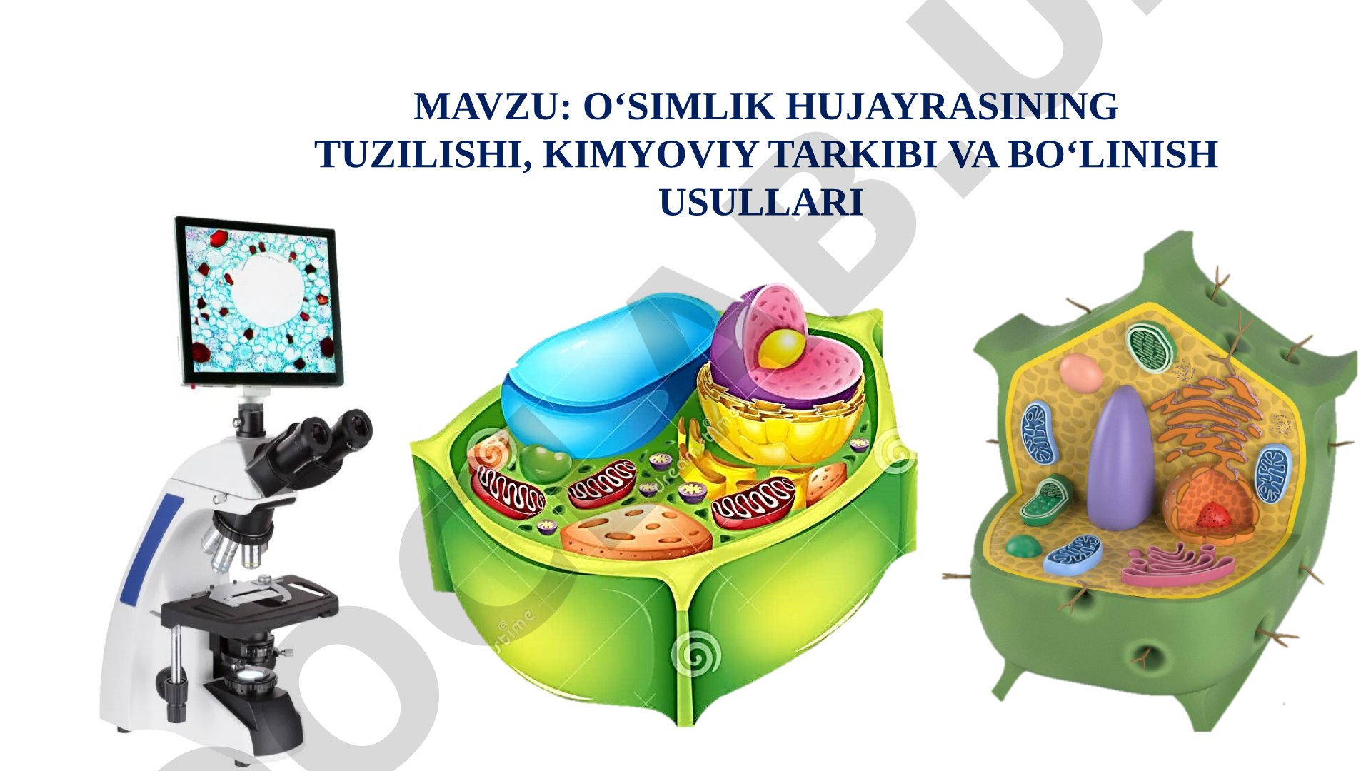 O‘simlik hujayrasining tuzilishi, kimyoviy tarkibi va bo‘linish usullari