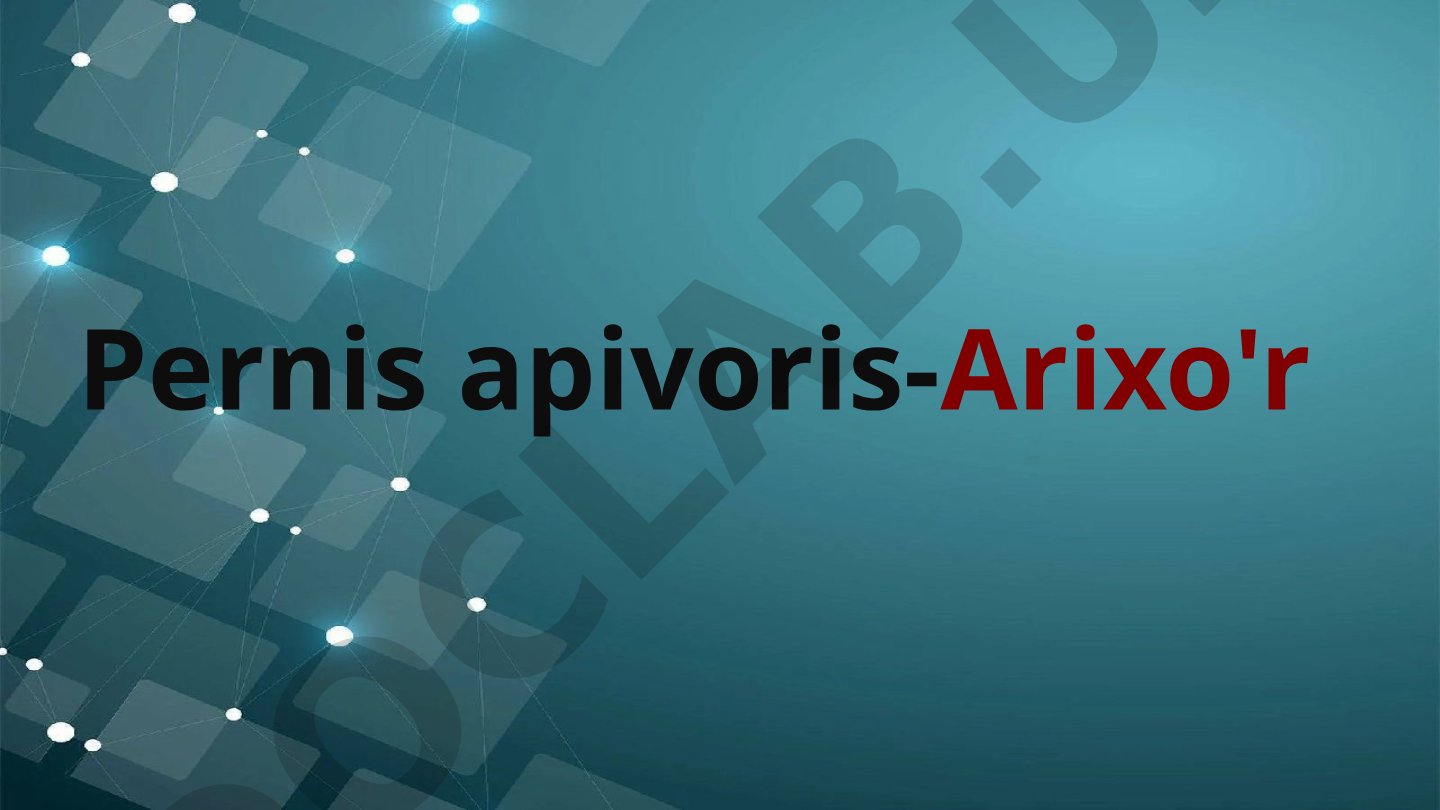 Arixo'r qushlarning ekologiyasi va biologiyasi