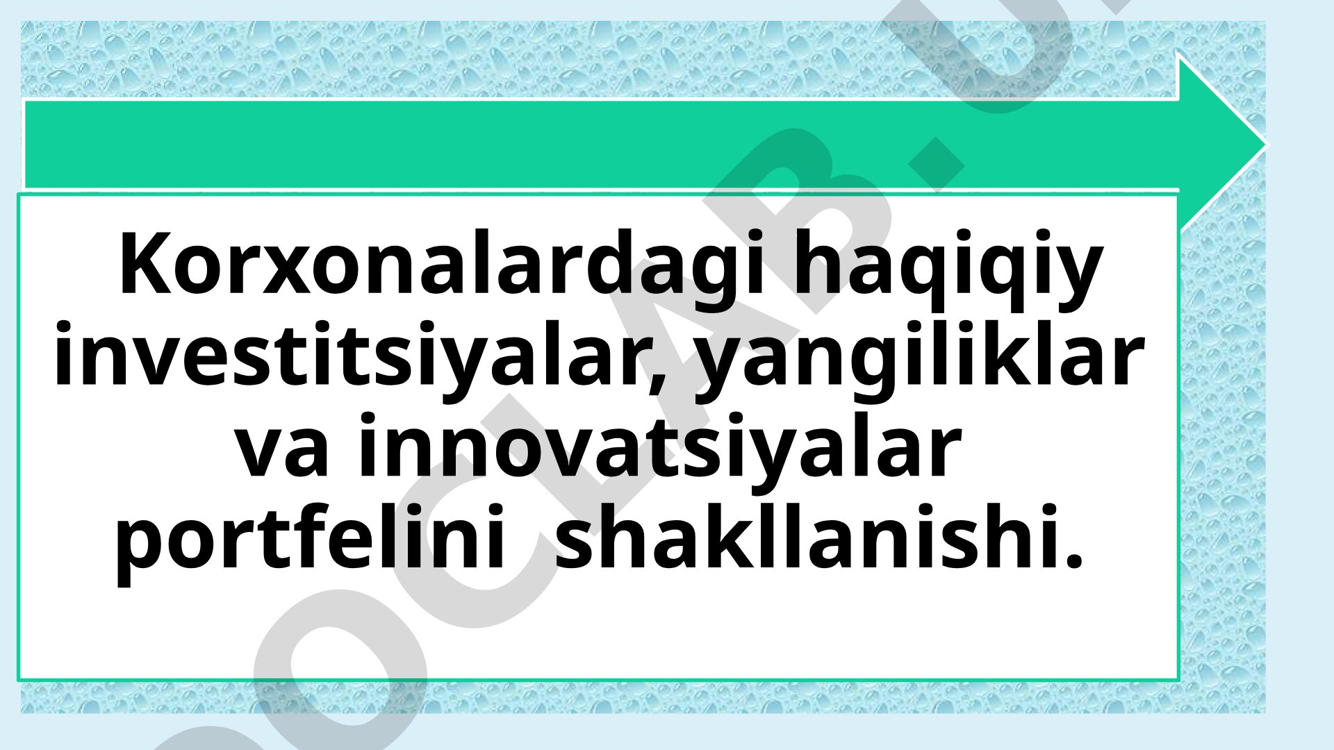 Korxonalardagi haqiqiy investitsiyalar, yangiliklar va innovatsiyalar portfelini shakllanishi