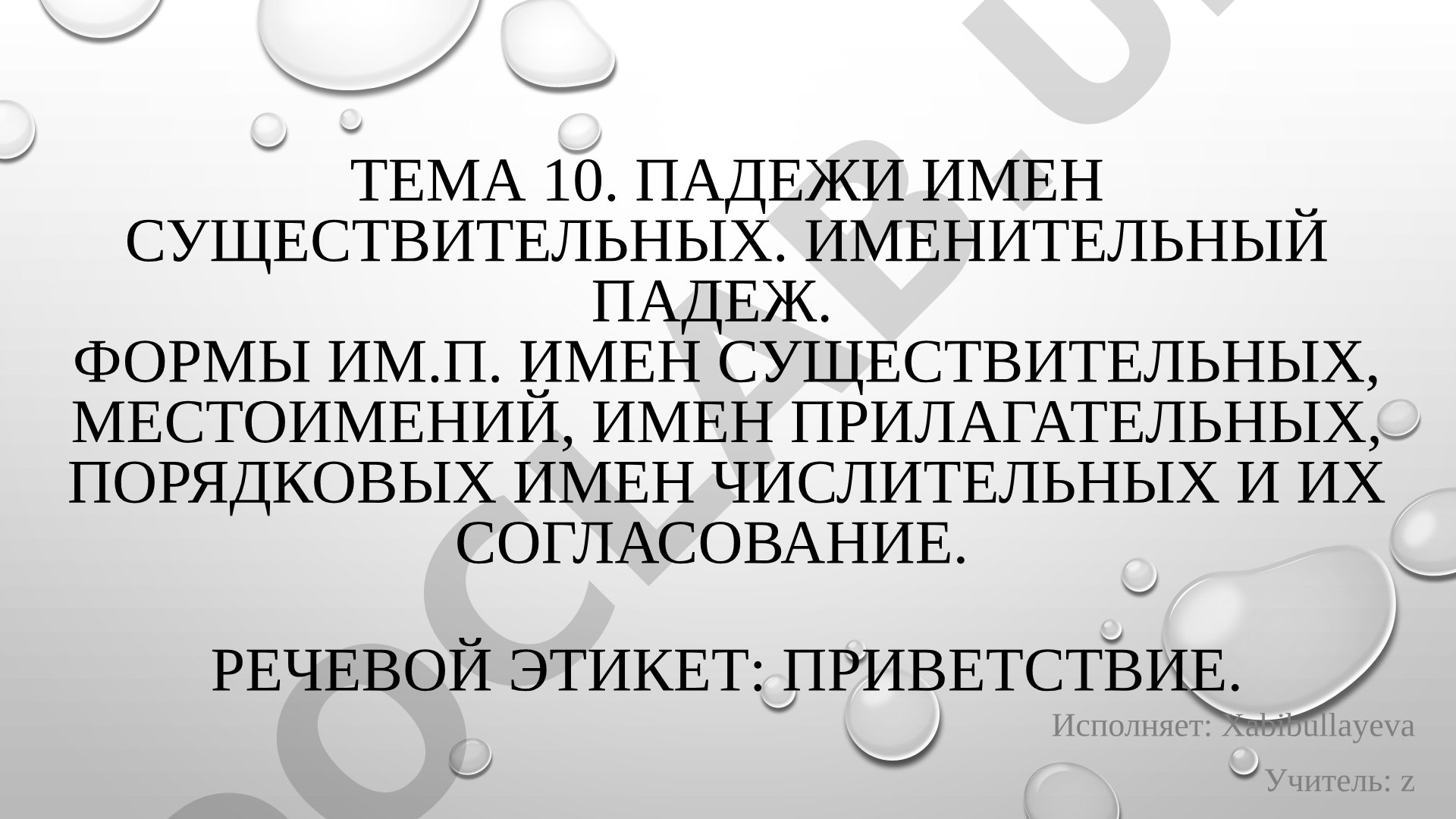 Падежи имен существительных. Именительный падеж