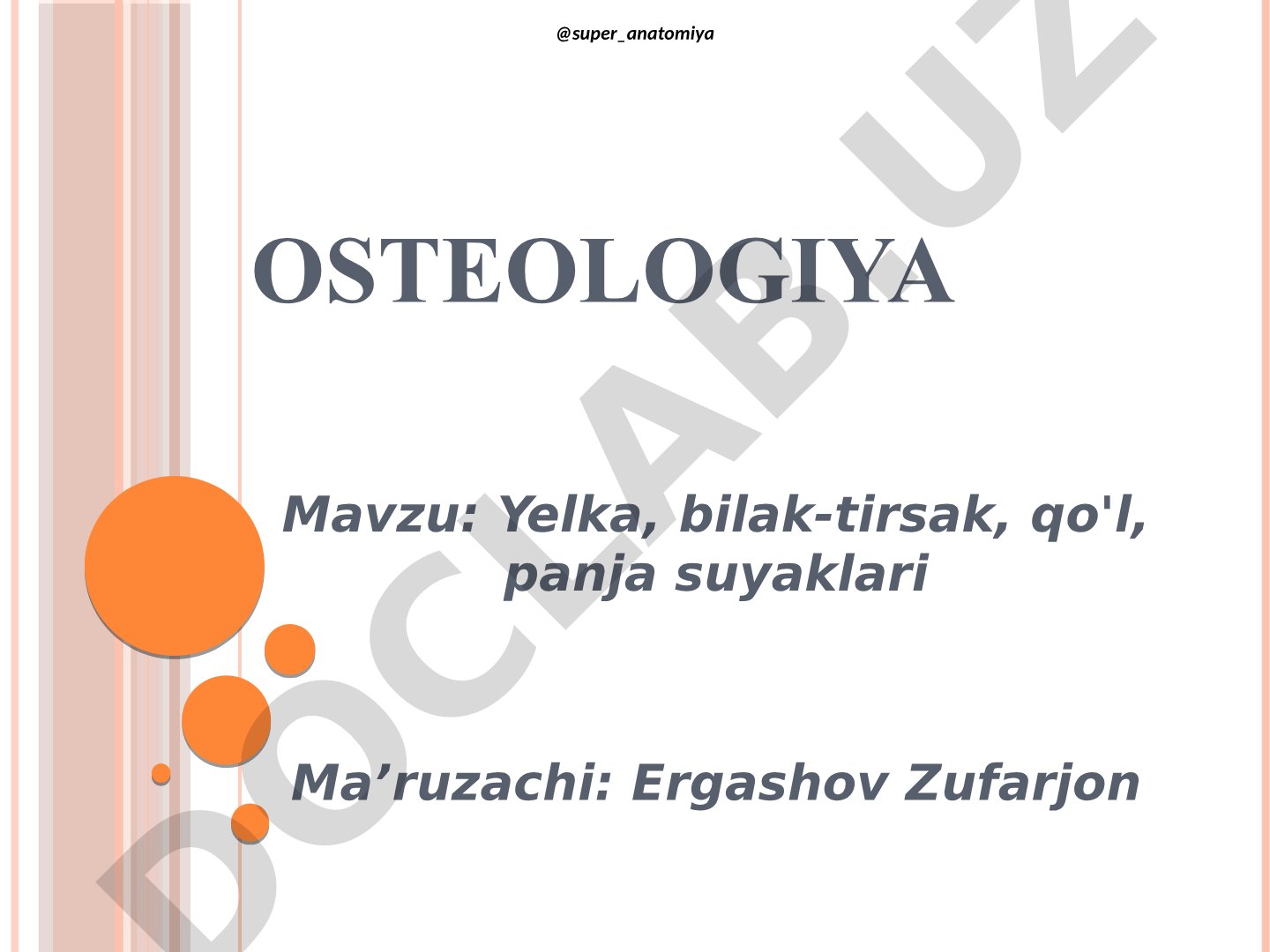 Yelka, bilak-tirsak, qo'l, panja suyaklari