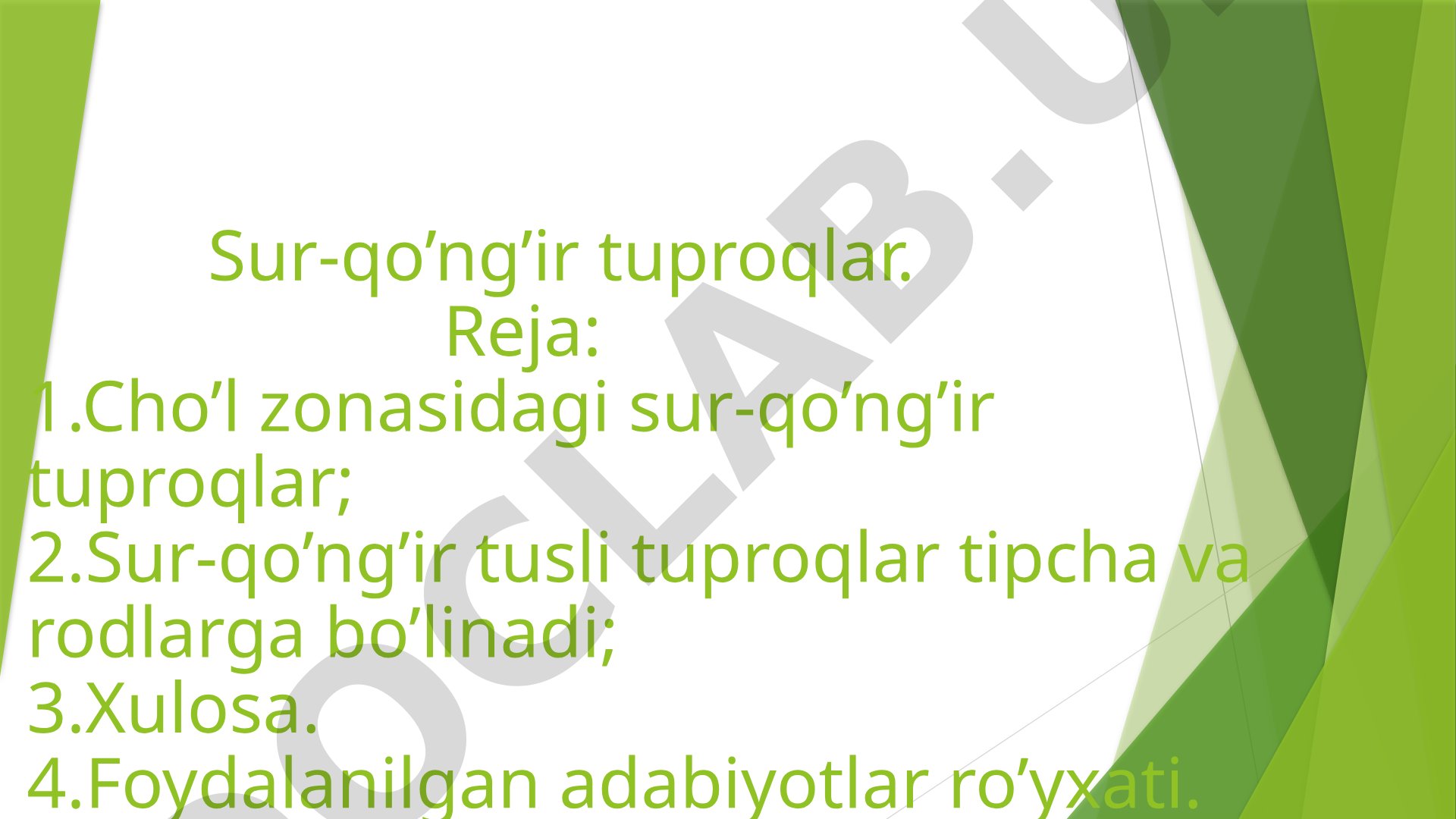Sur-qo’ng’ir tuproqlar