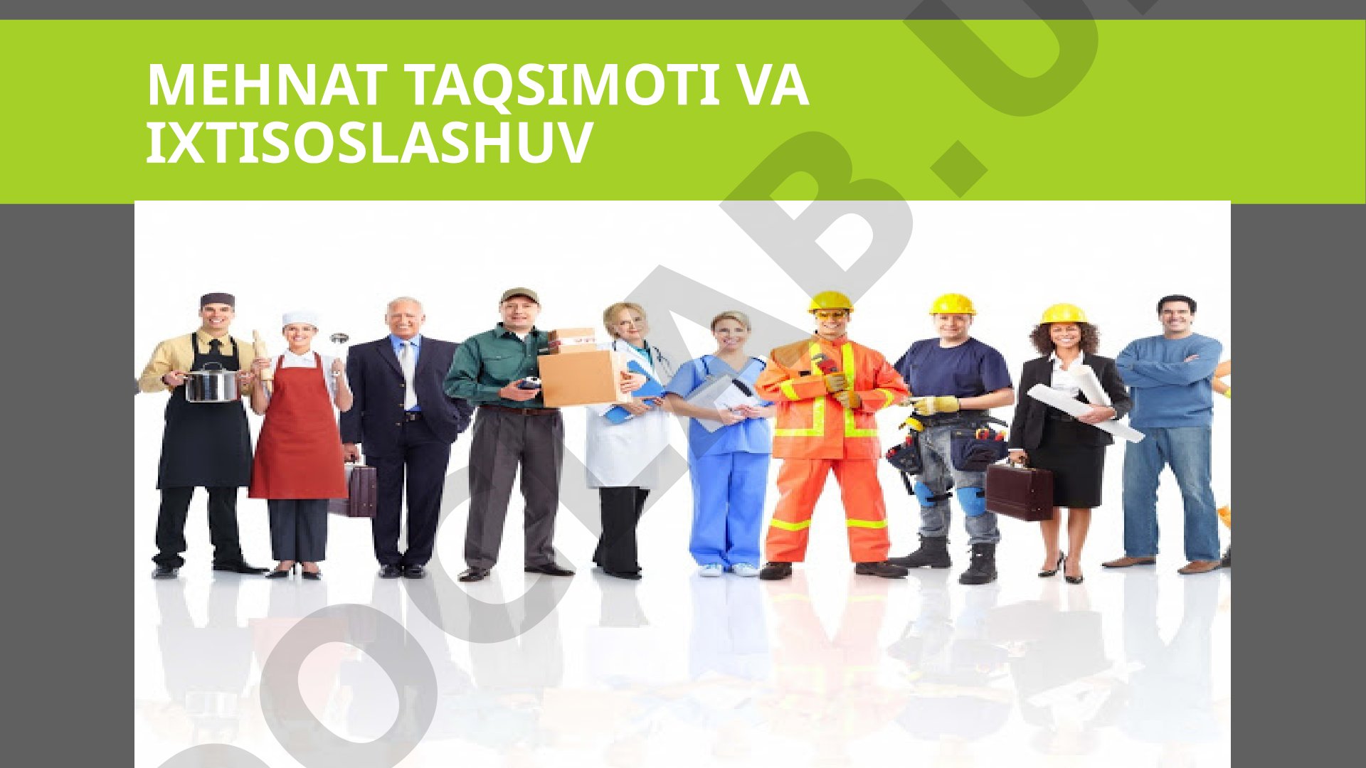 Mehnat taqsimoti va ixtisoslashuv