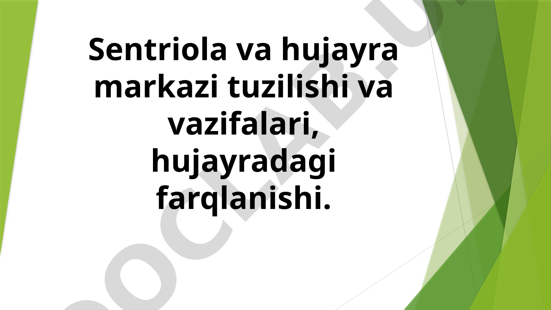 Sentriola va hujayra markazi tuzilishi va vazifalari