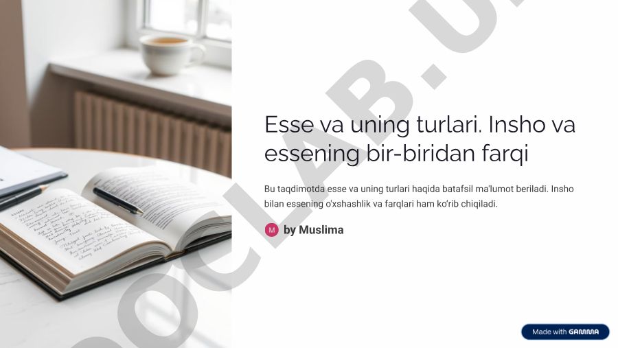 Esse va uning turlari, insho bilan farqlari