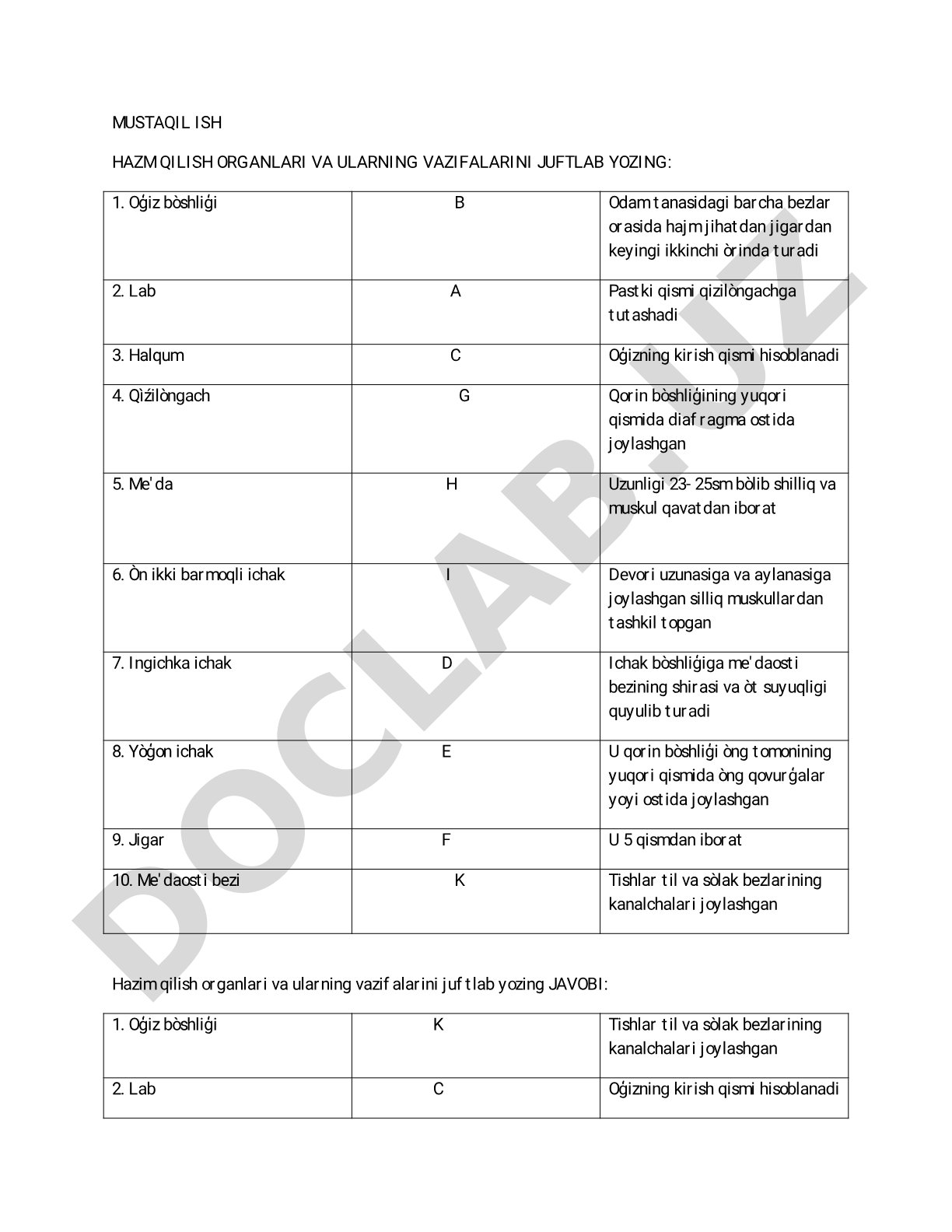 Hazm qilish organlari va ularning vazifalari