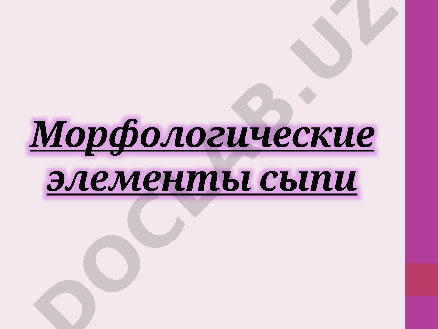 Морфологические элементы сыпи
