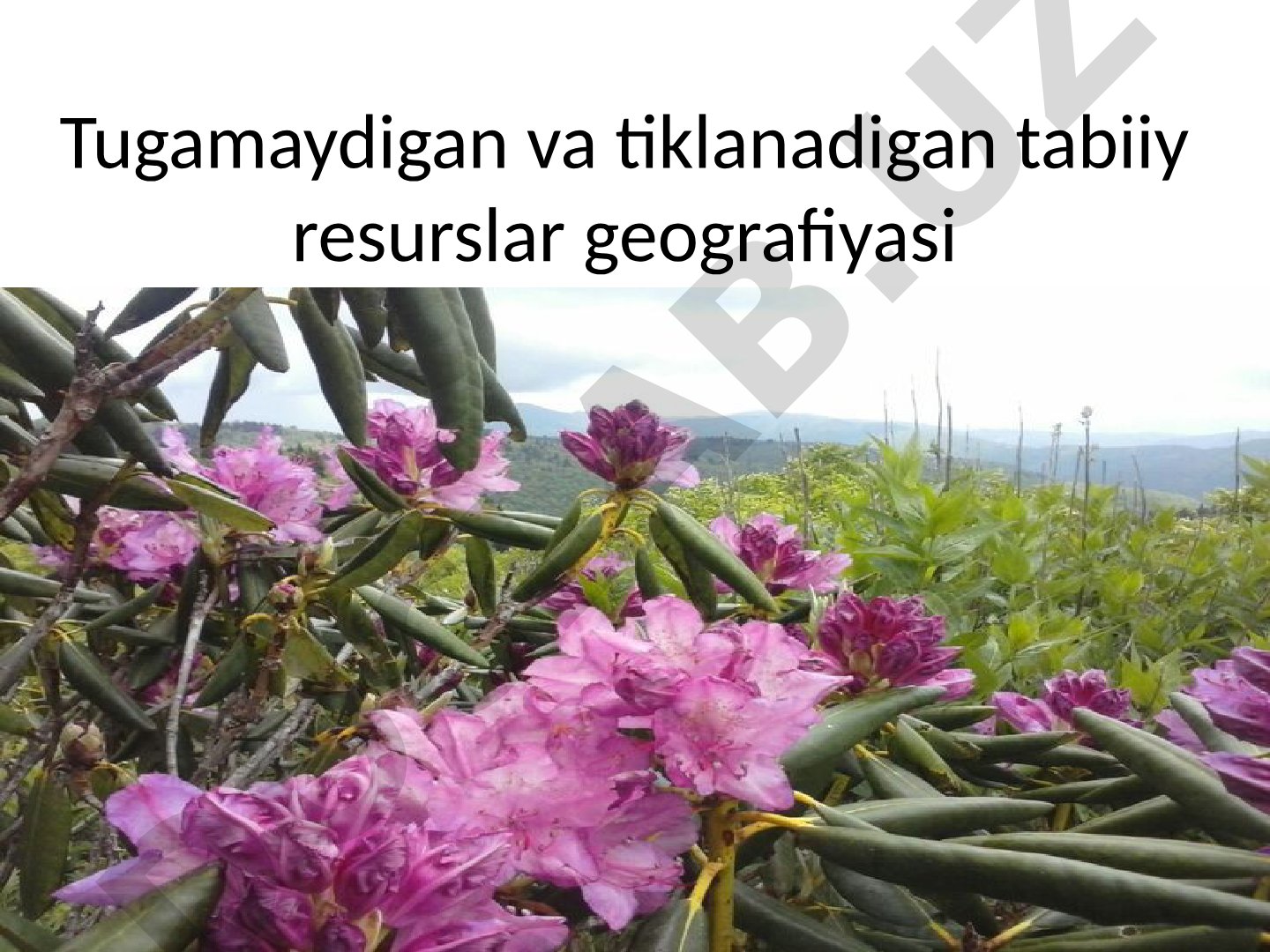 Tugamaydigan va tiklanadigan tabiiy resurslar geografiyasi