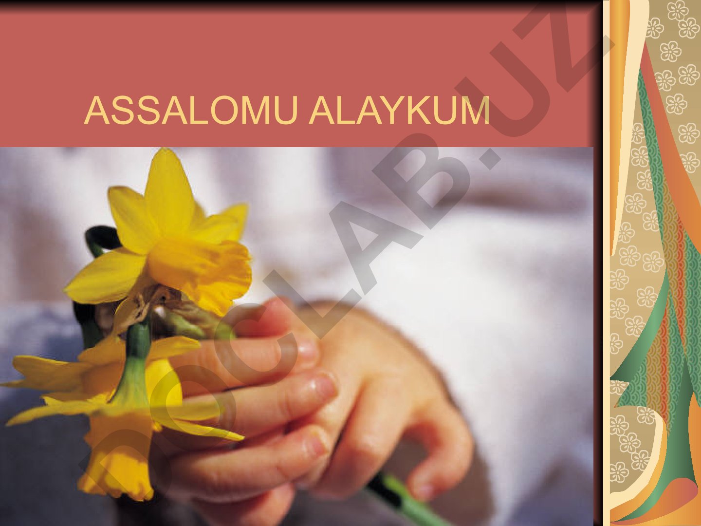 Brom va uning birikmalari