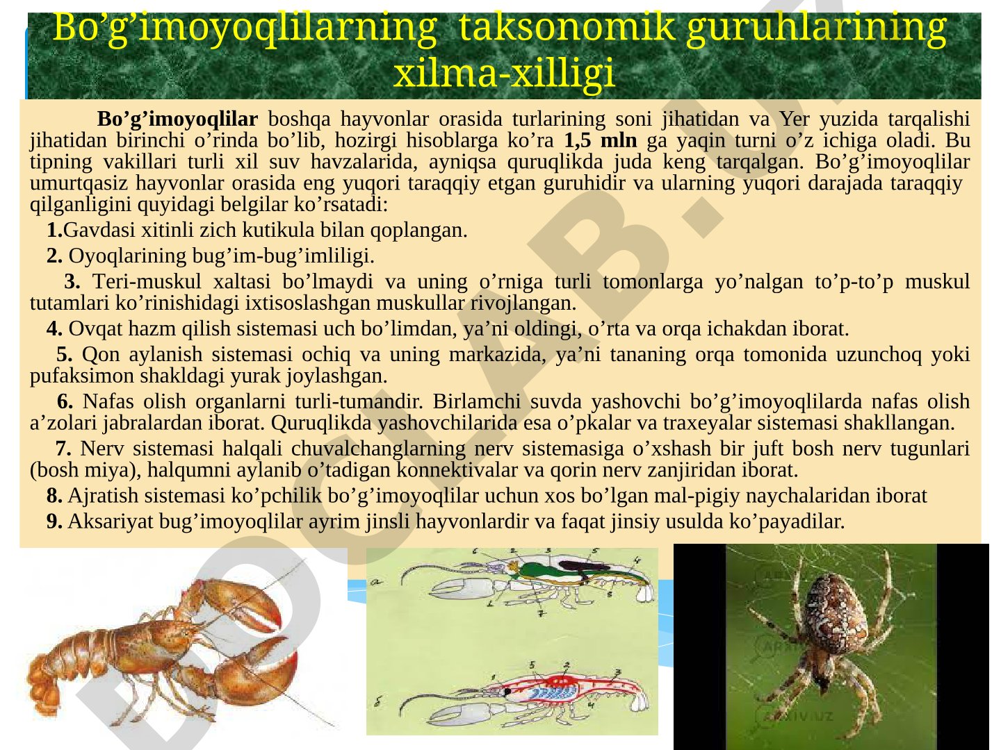 Bo'g'imoyoqlilarning taksonomik guruhlari xilma-xilligi
