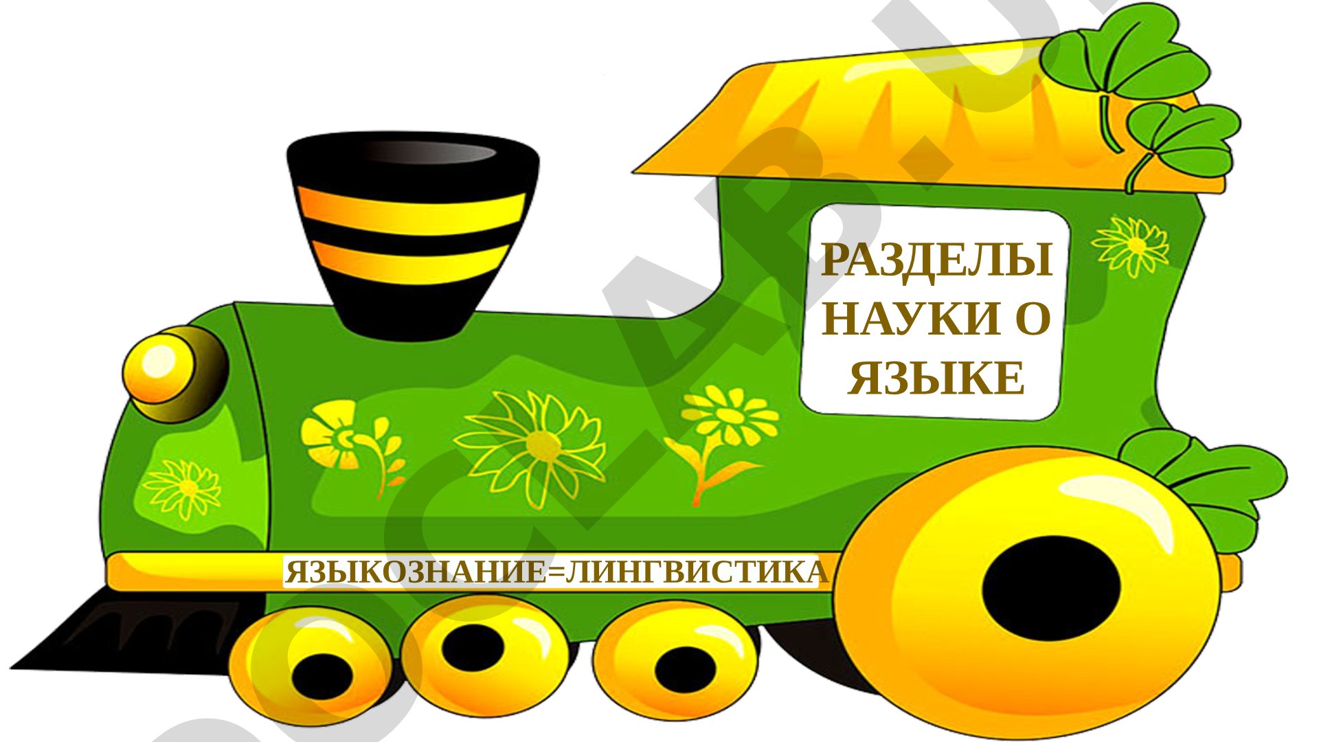 Разделы науки о языке