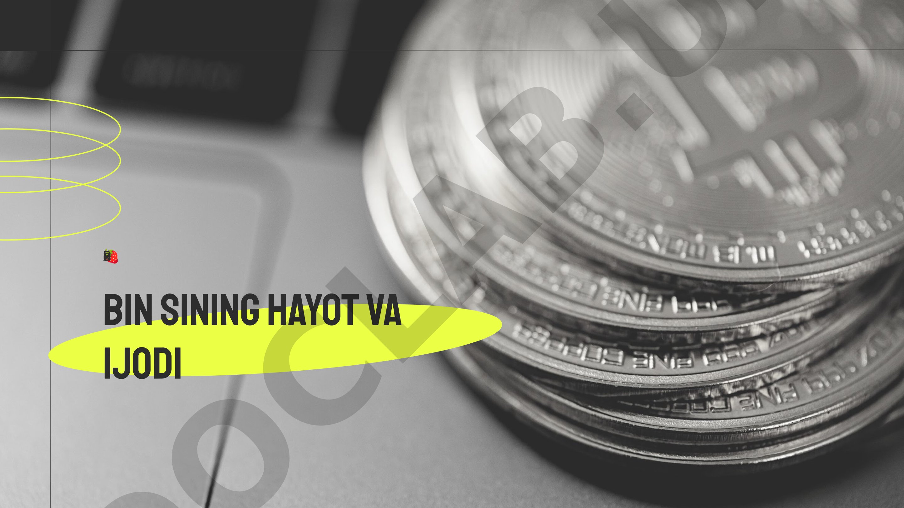 Bin sining hayot va ijodi