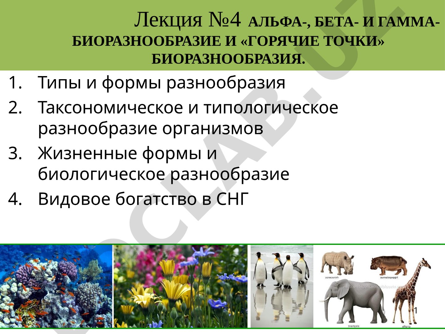 Лекция №4 Альфа-, бета- и гамма-биоразнообразие и «горячие точки» биоразнообразия