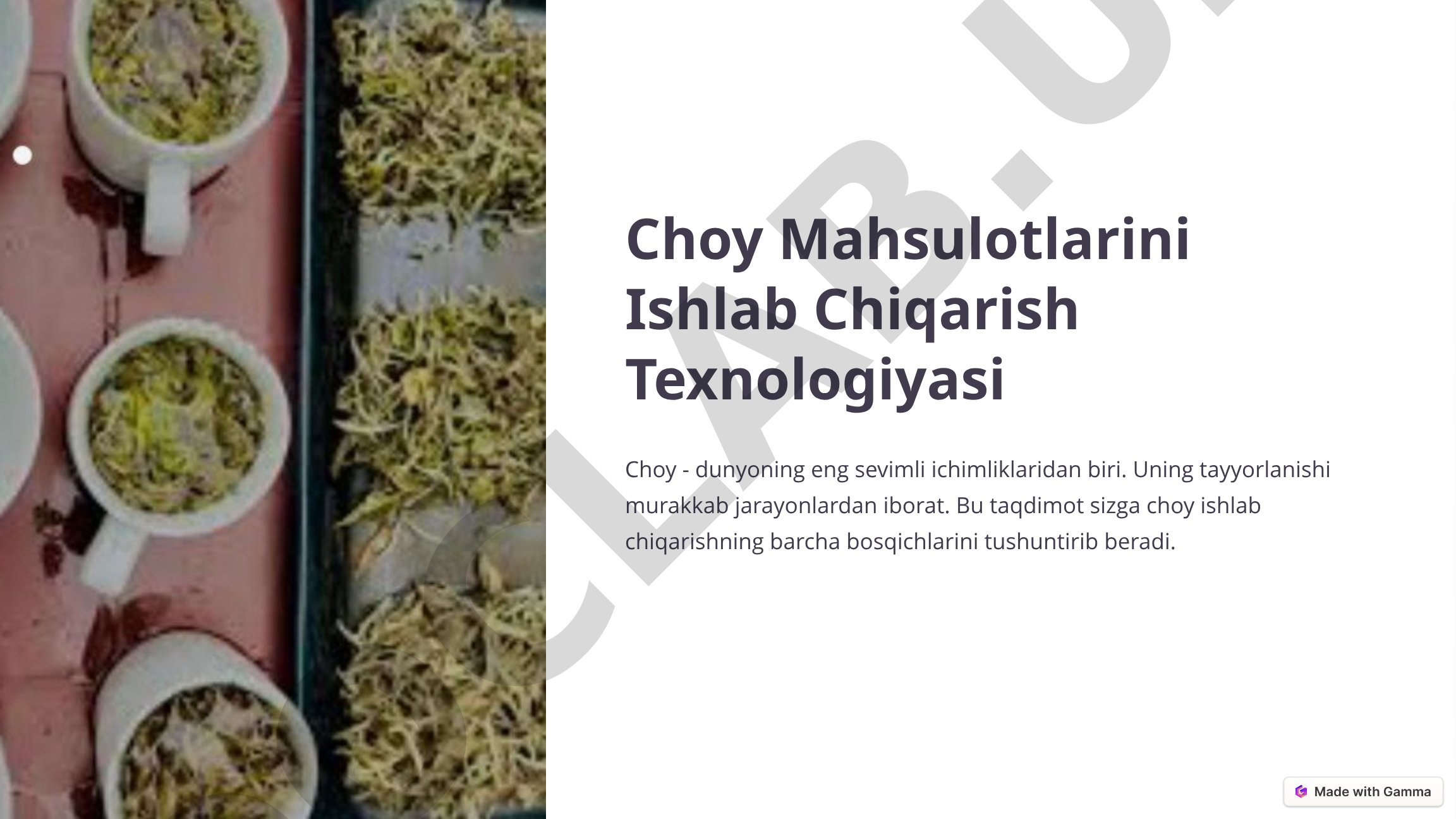Choy Mahsulotlarini Ishlab Chiqarish Texnologiyasi