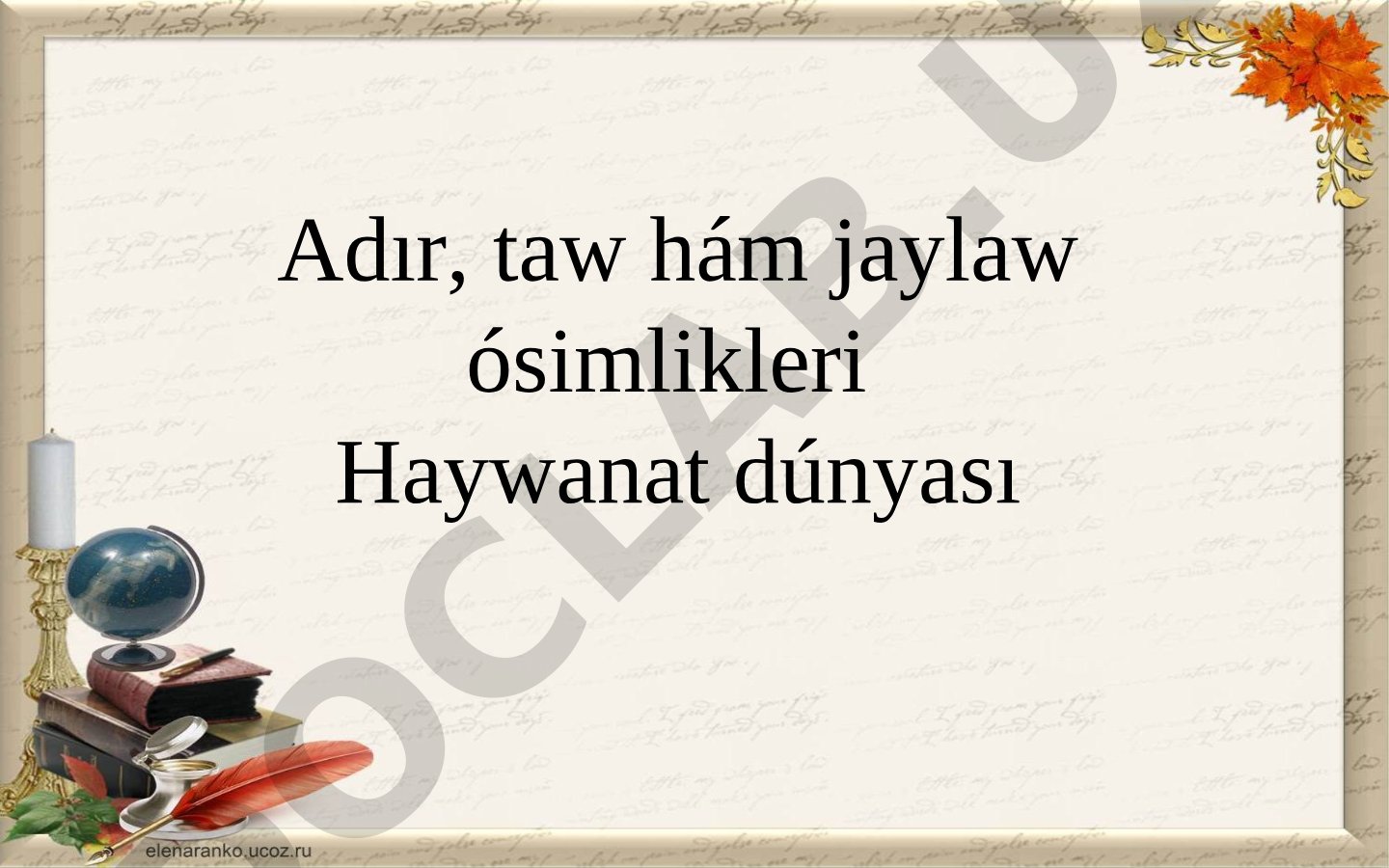 Adır, taw hám jaylaw ósimlikleri hám haywanat dúnyası