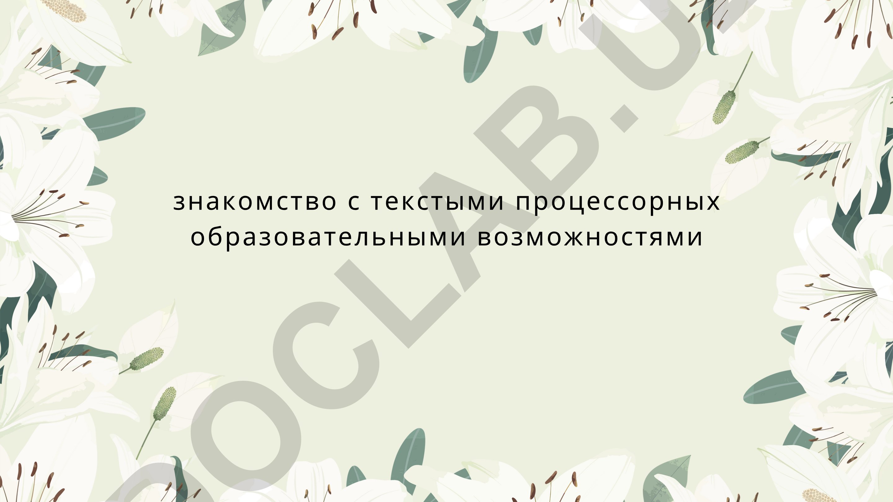Знакомство с текстовыми процессорами и их образовательными возможностями