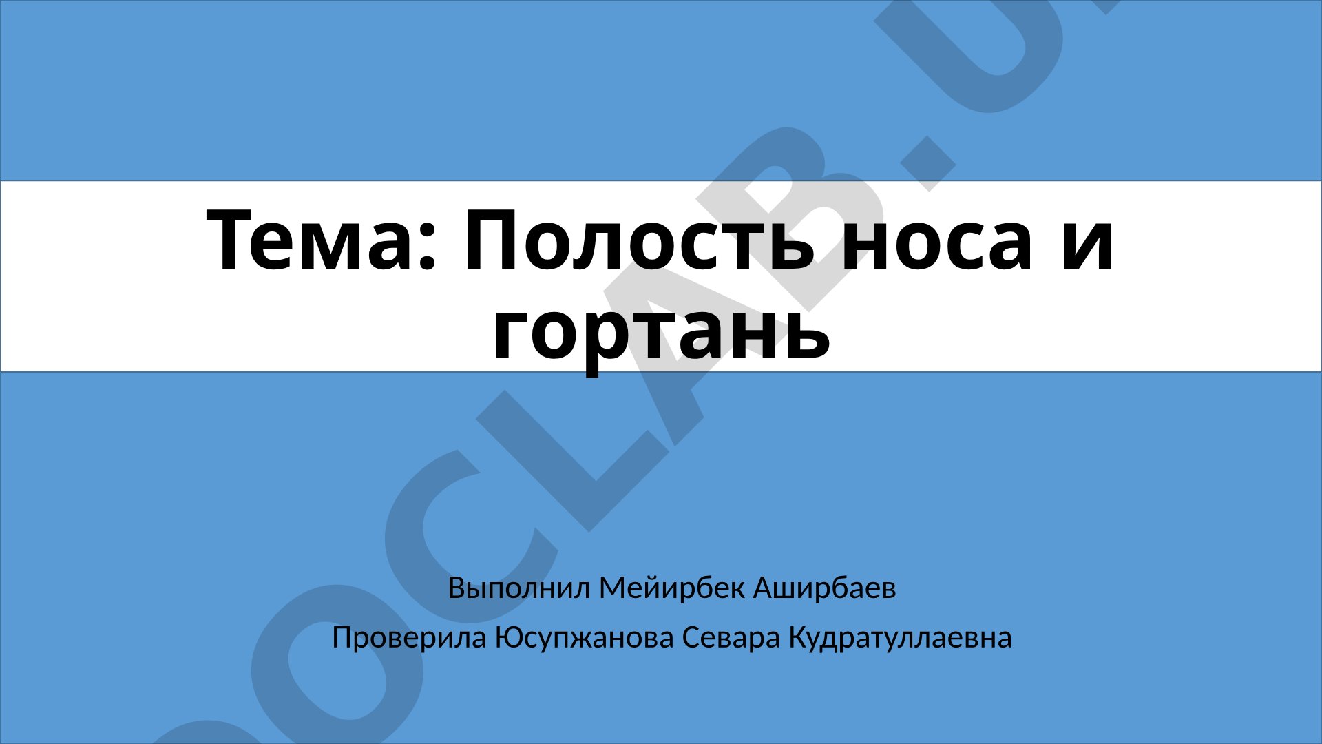 Полость носа и гортань