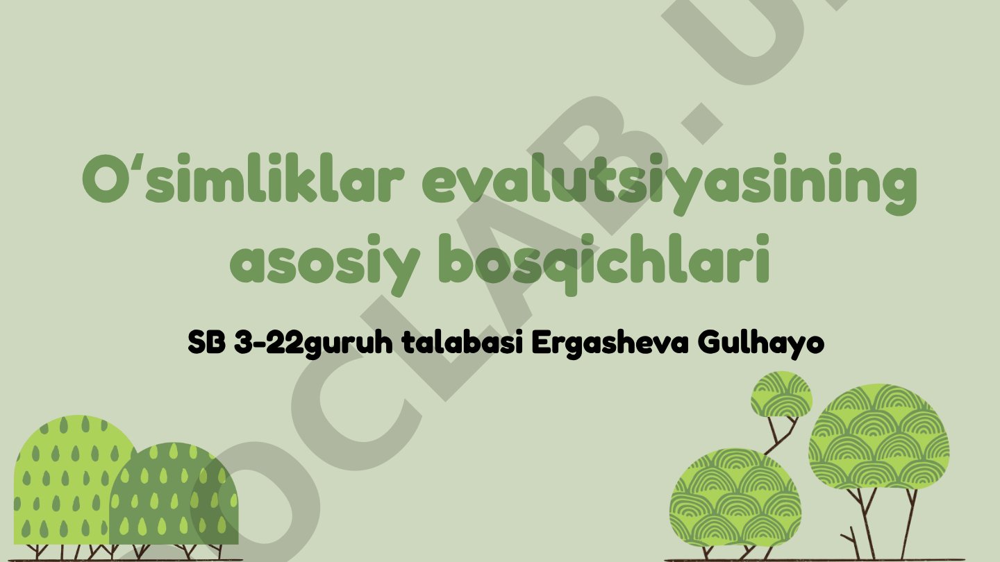 Oʻsimliklar evalutsiyasining asosiy bosqichlari