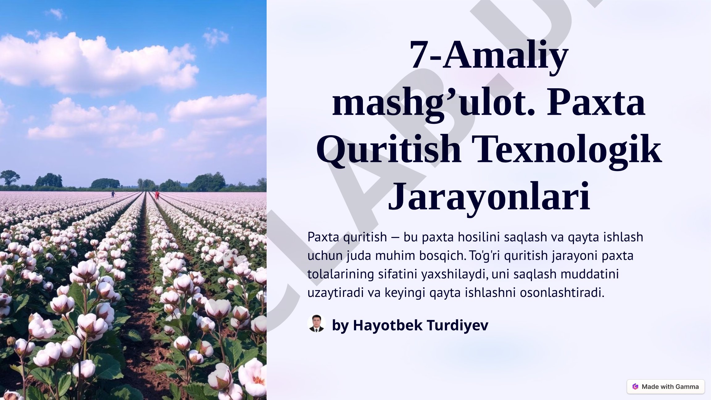 Paxta quritish texnologik jarayonlari