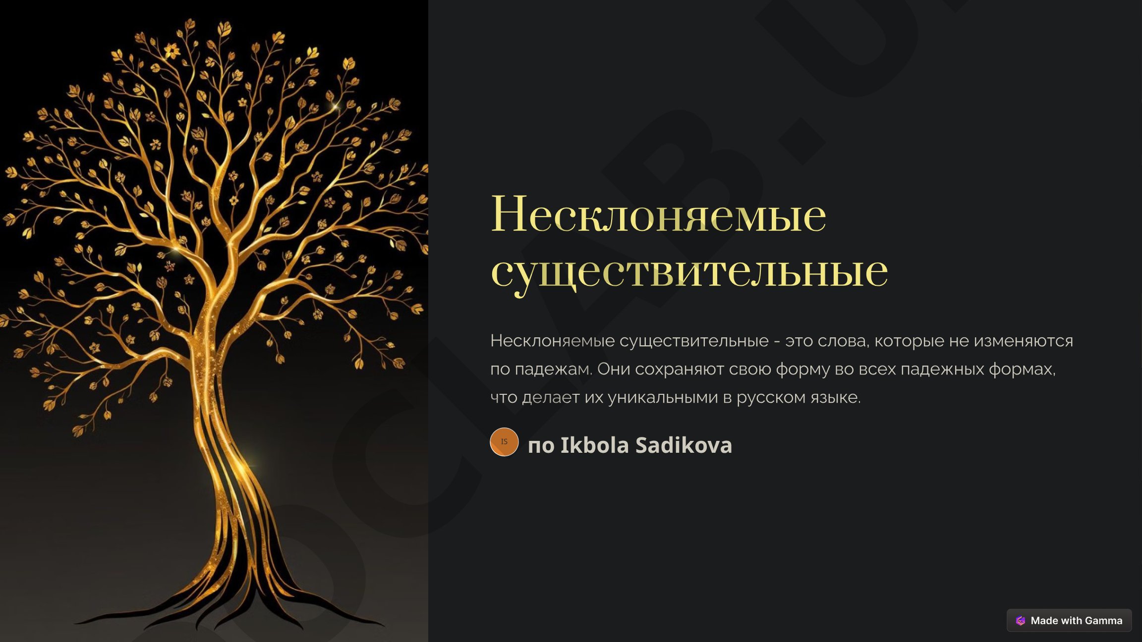 Несклоняемые существительные