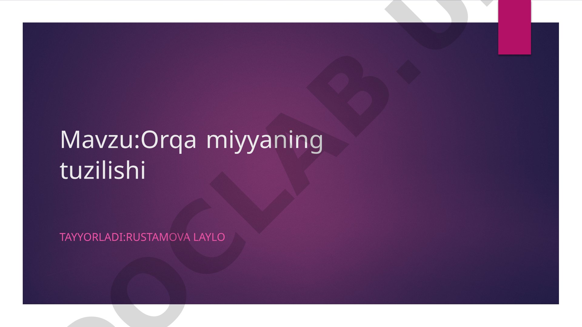 Orqa miyyaning tuzilishi
