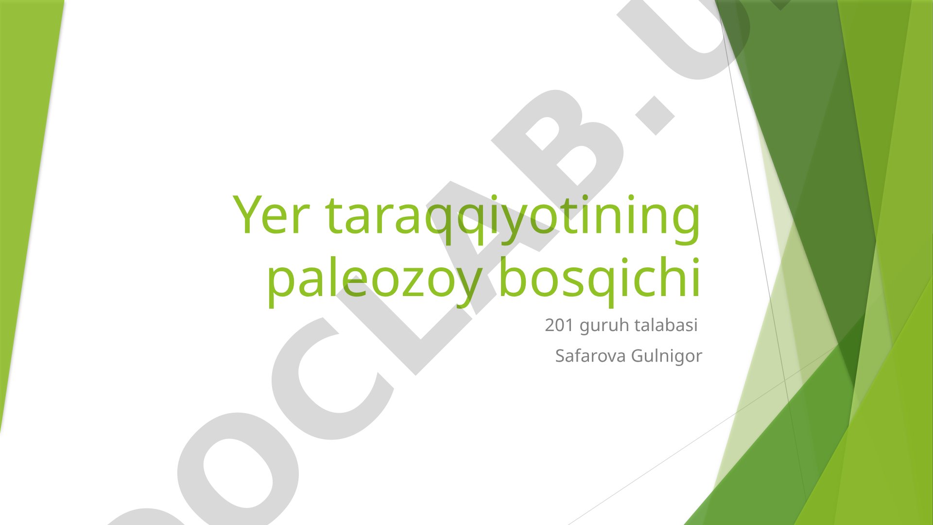Yer taraqqiyotining paleozoy bosqichi
