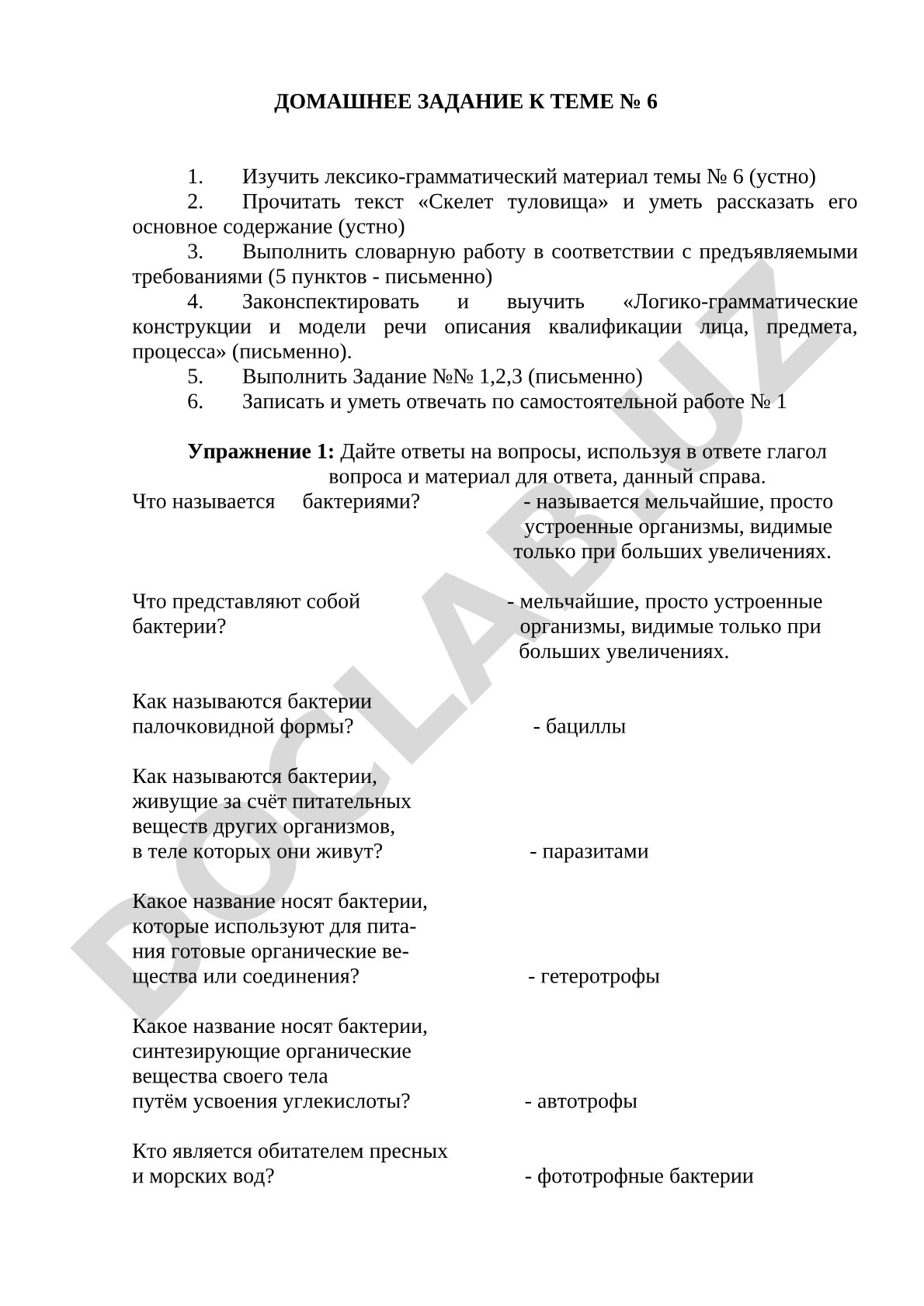 Домашнее задание по теме №6: скелет туловища и бактерии