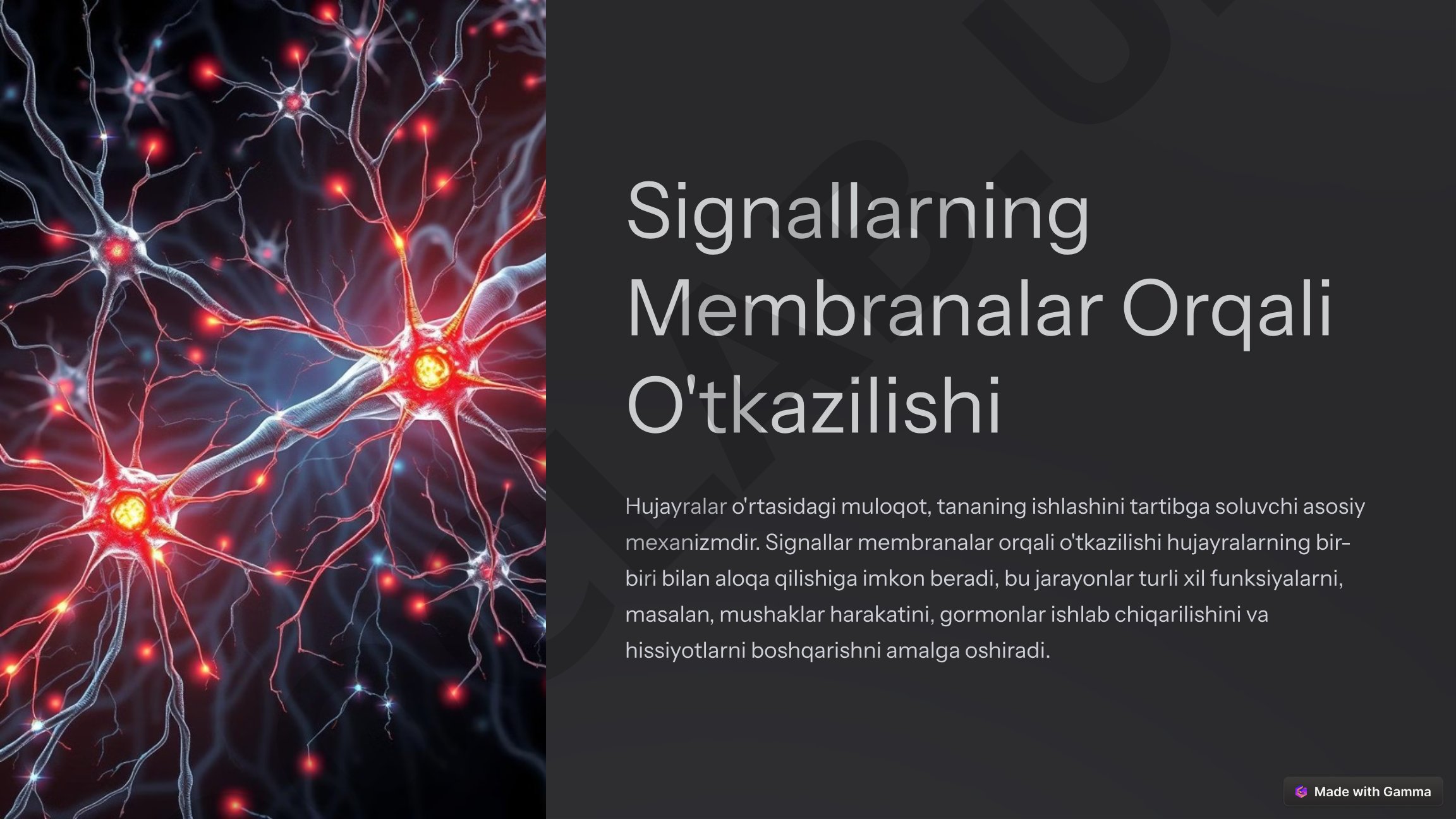 Signallarning Membranalar Orqali O'tkazilishi