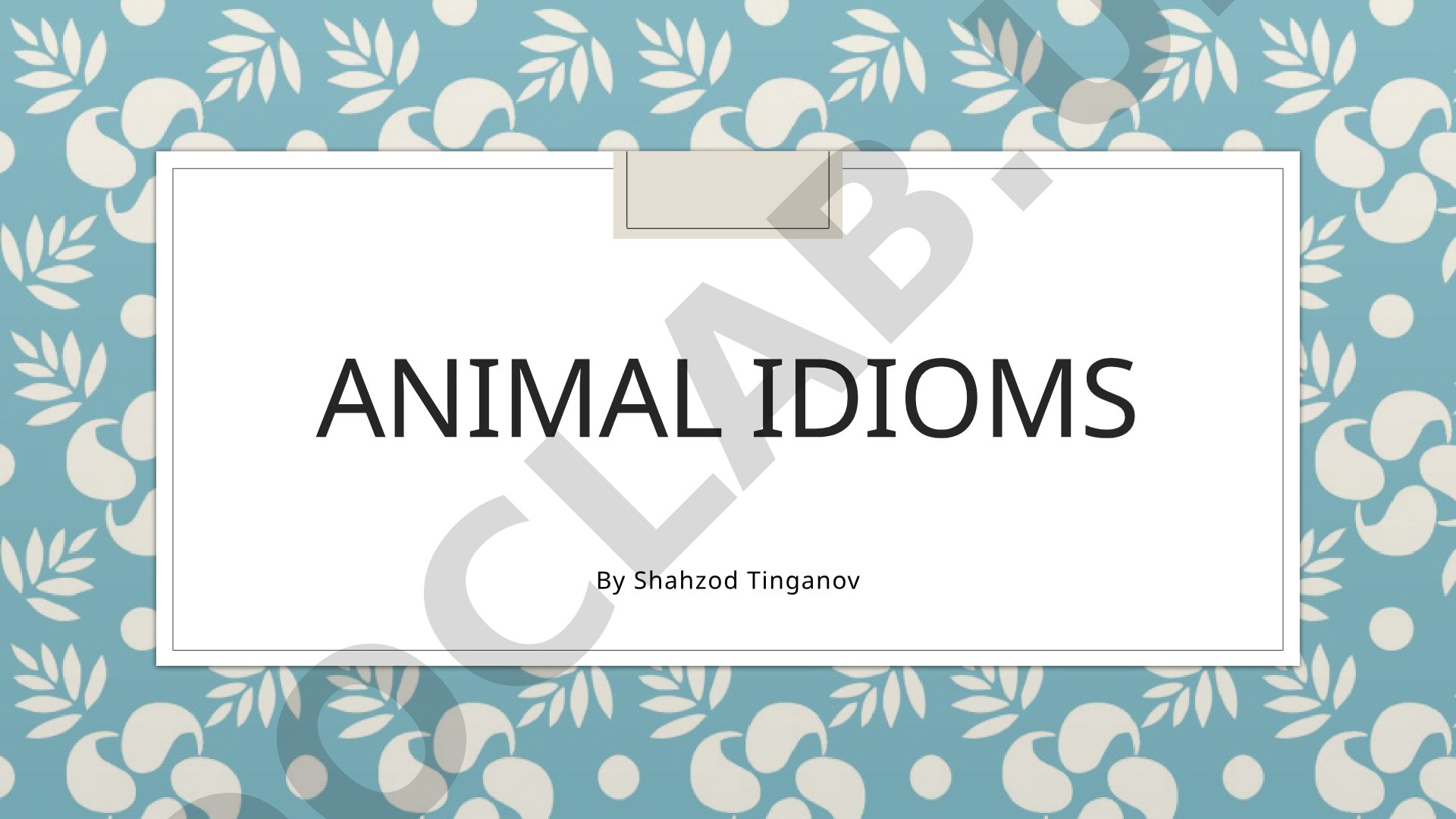 Learn common English animal idioms with examples and illustrations