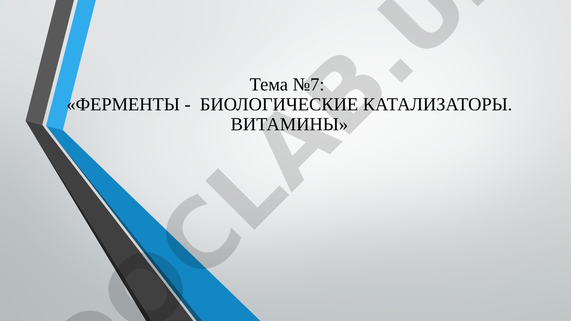 Ферменты - биологические катализаторы. Витамины
