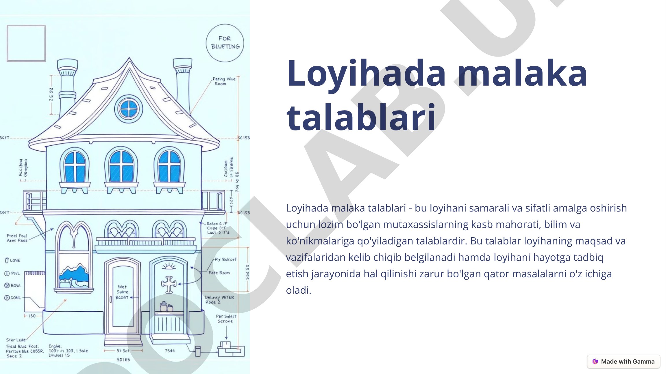 Loyihada malaka talablari, loyiha maqsadi va vazifalari, amalga oshiruvchi tashkilot