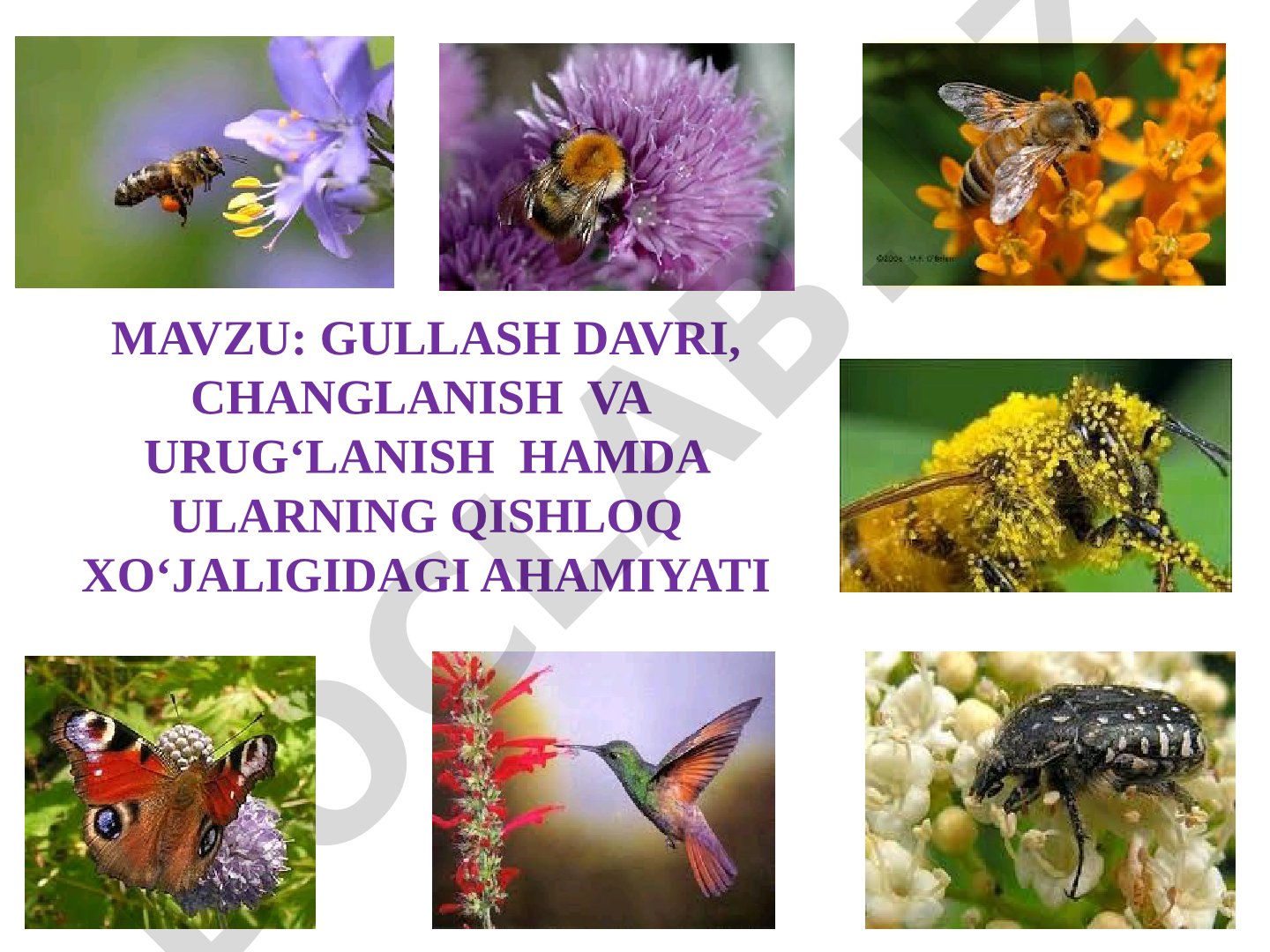 GULLASH DAVRI, CHANGLANISH VA URUG‘LANISH HAMDA ULARNING QISHLOQ XO‘JALIGIDAGI AHAMIYATI
