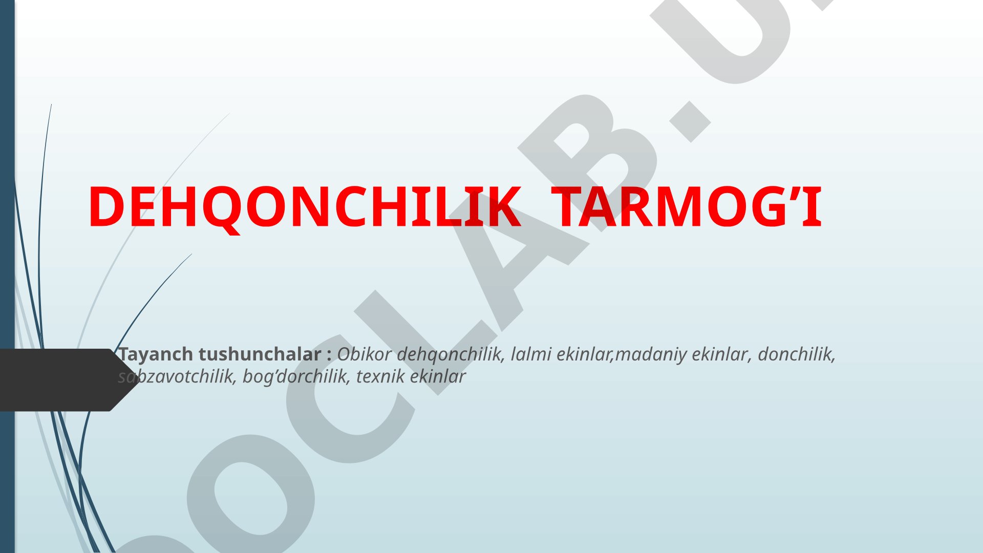 Dehqonchilik tarmog'i