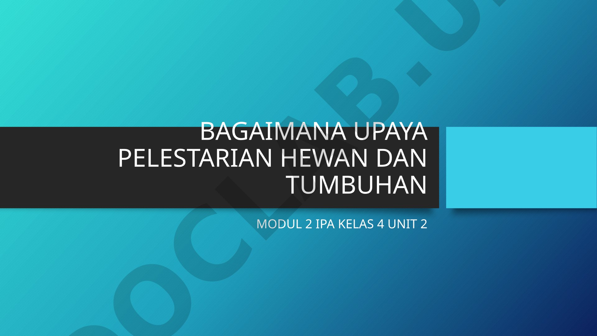 Bagaimana Upaya Pelestarian Hewan dan Tumbuhan